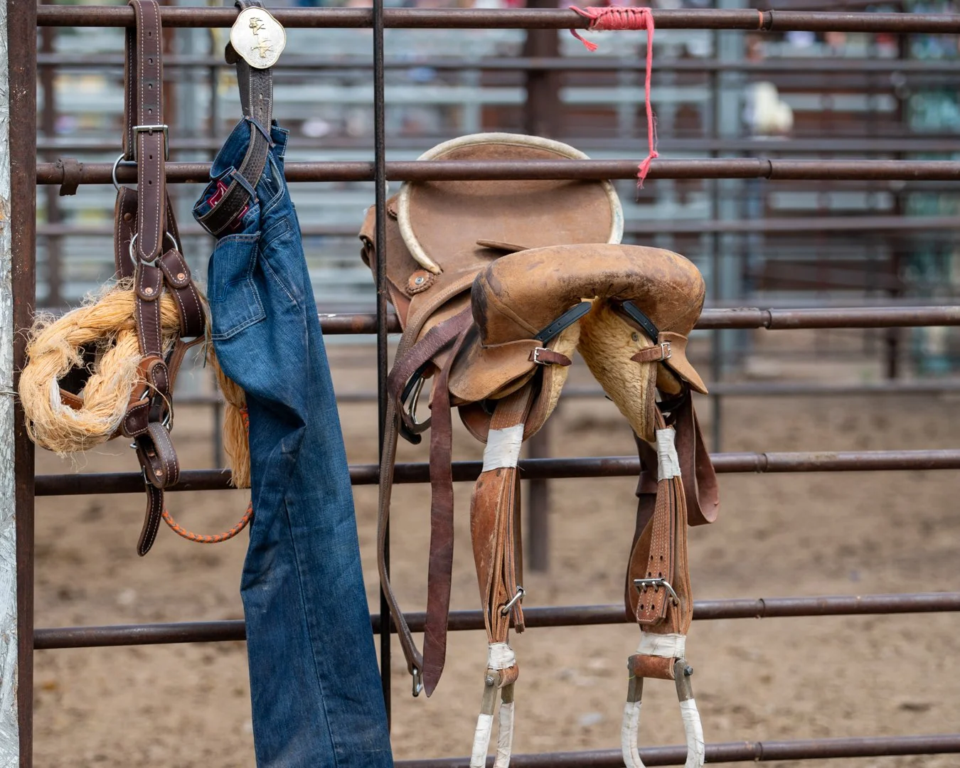 A cowboy saddle, a pair of jeans, and a lasso hanging on a metal fence in a rodeo or equestrian setting.