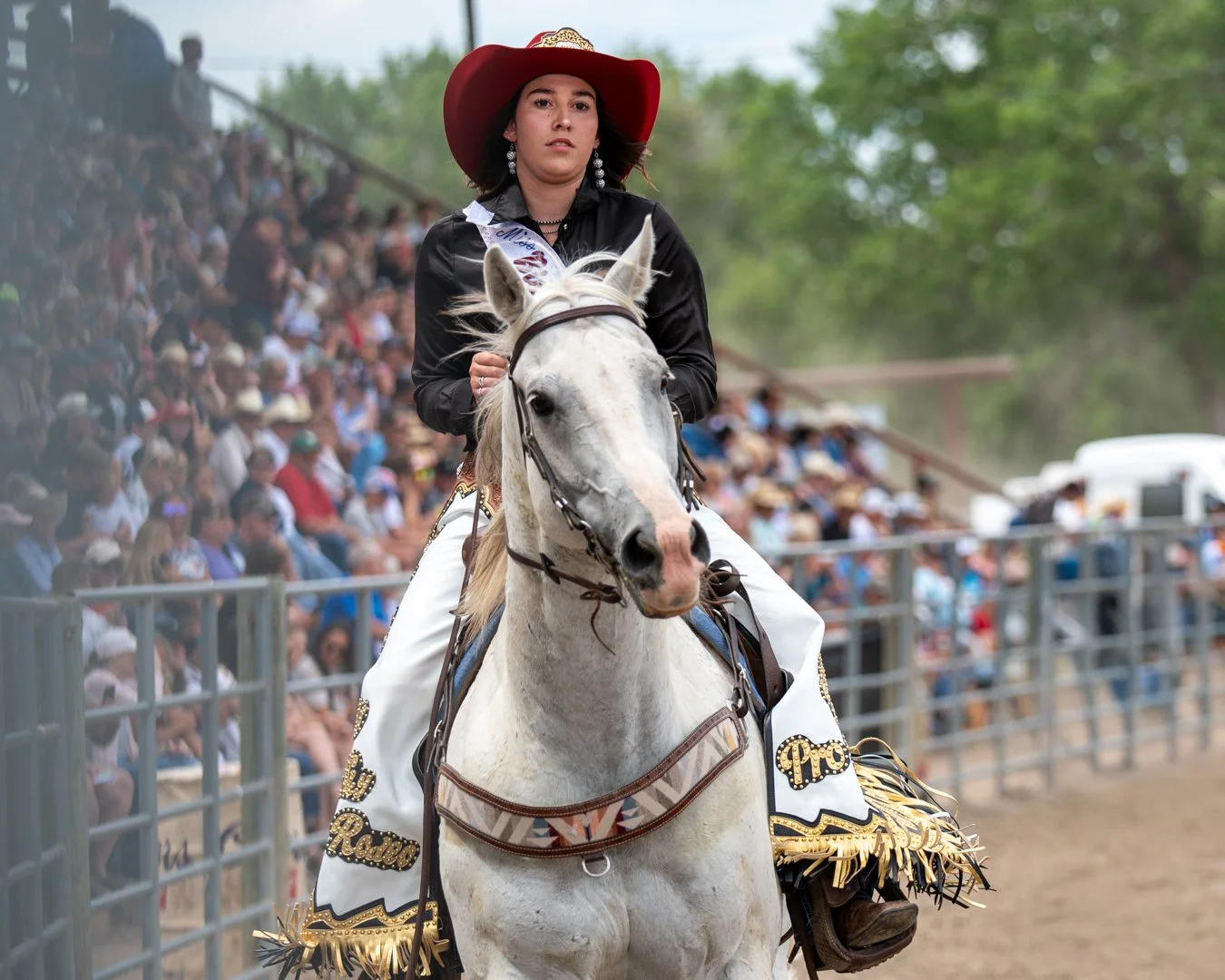 A woman wearing a black jacket, white rodeo chaps with gold accents, and a red cowboy hat rides a white horse in front of a large crowd at a rodeo arena.