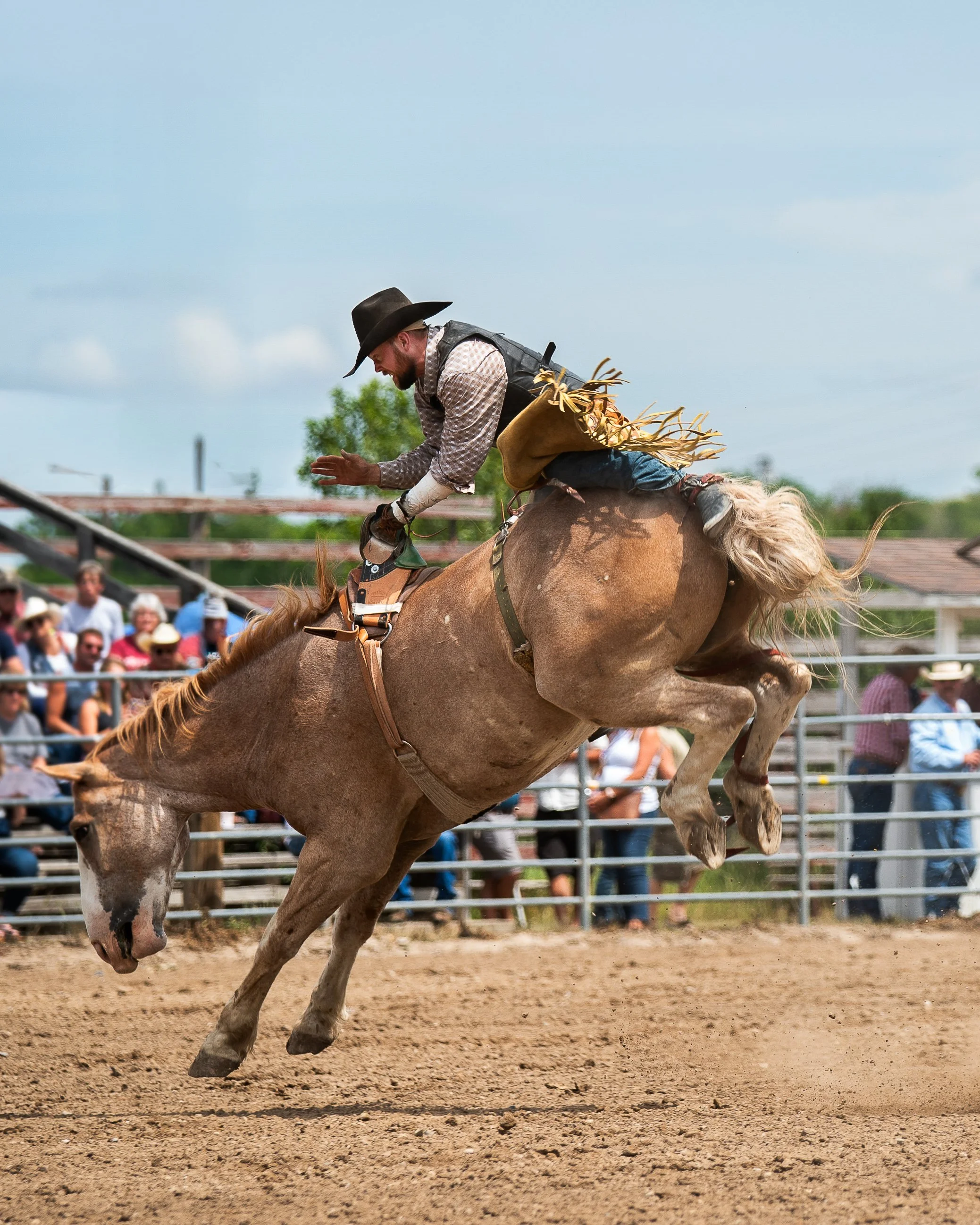 A man riding a bucking horse in a rodeo event, wearing a cowboy hat, checkered shirt, and protective vest, with a crowd watching in the background.