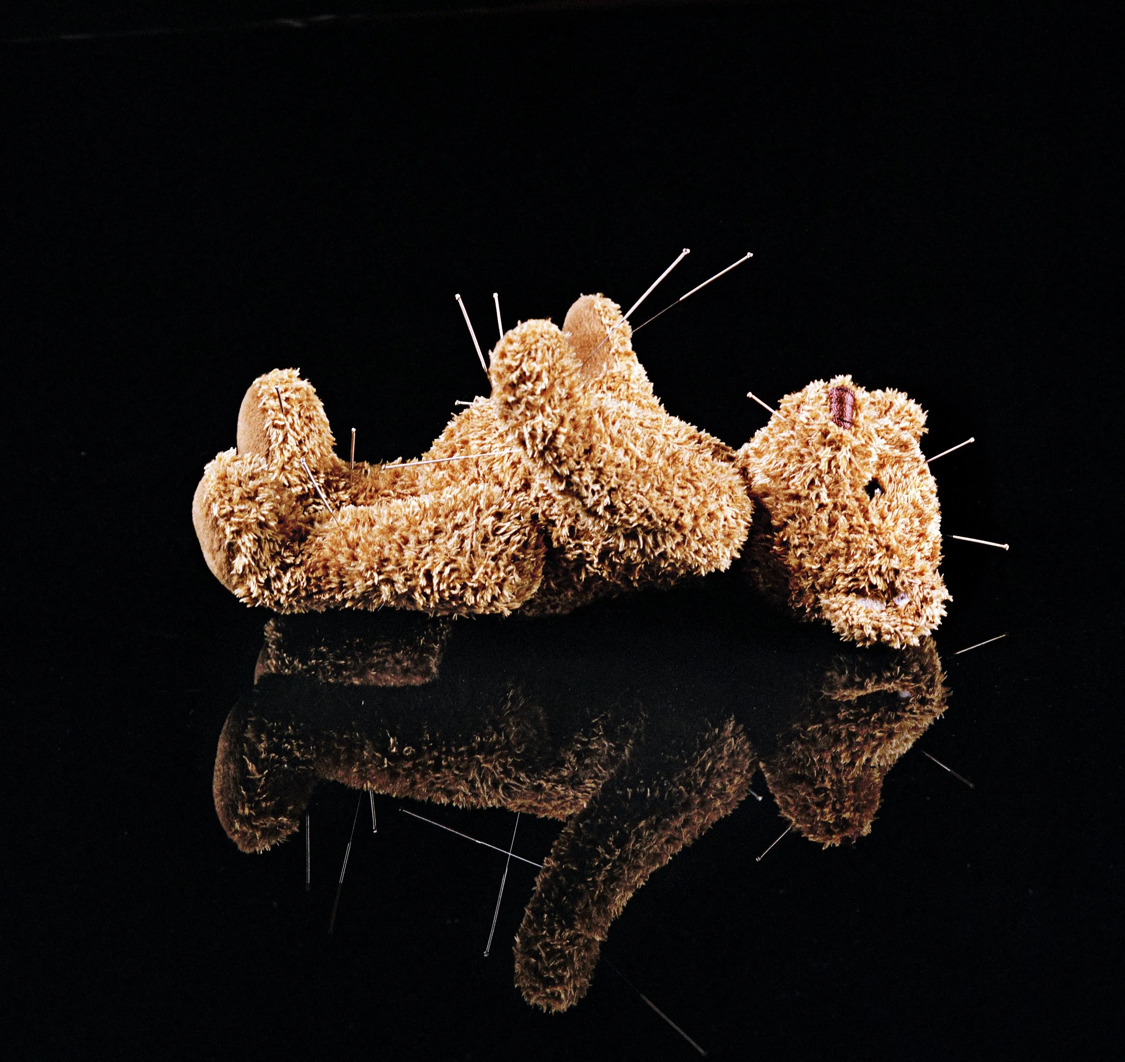 A close-up of a plush teddy bear with pins inserted into it, set against a black background, with a reflection of the bear visible below on a glossy surface.