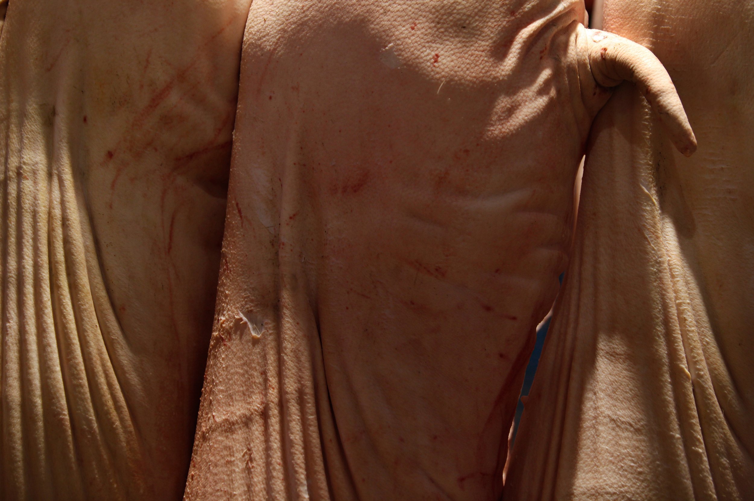 Close-up of a sculpture of a human figure with detailed skin texture, partially covered with draped fabric.