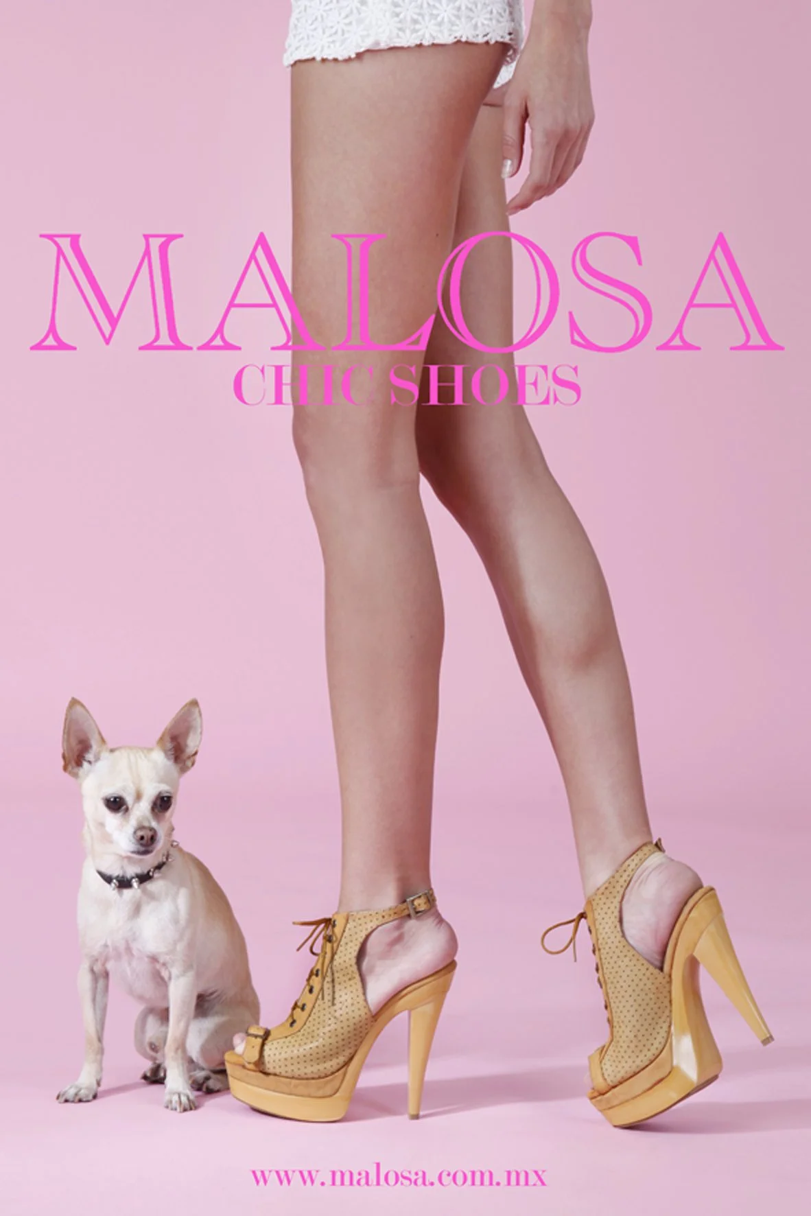 The image features a woman wearing yellow high-heeled shoes with platform soles, standing against a pink background. A small dog with light fur and pointed ears is sitting next to her. The text 'MALOOSA CHIC SHOES' is displayed prominently across the