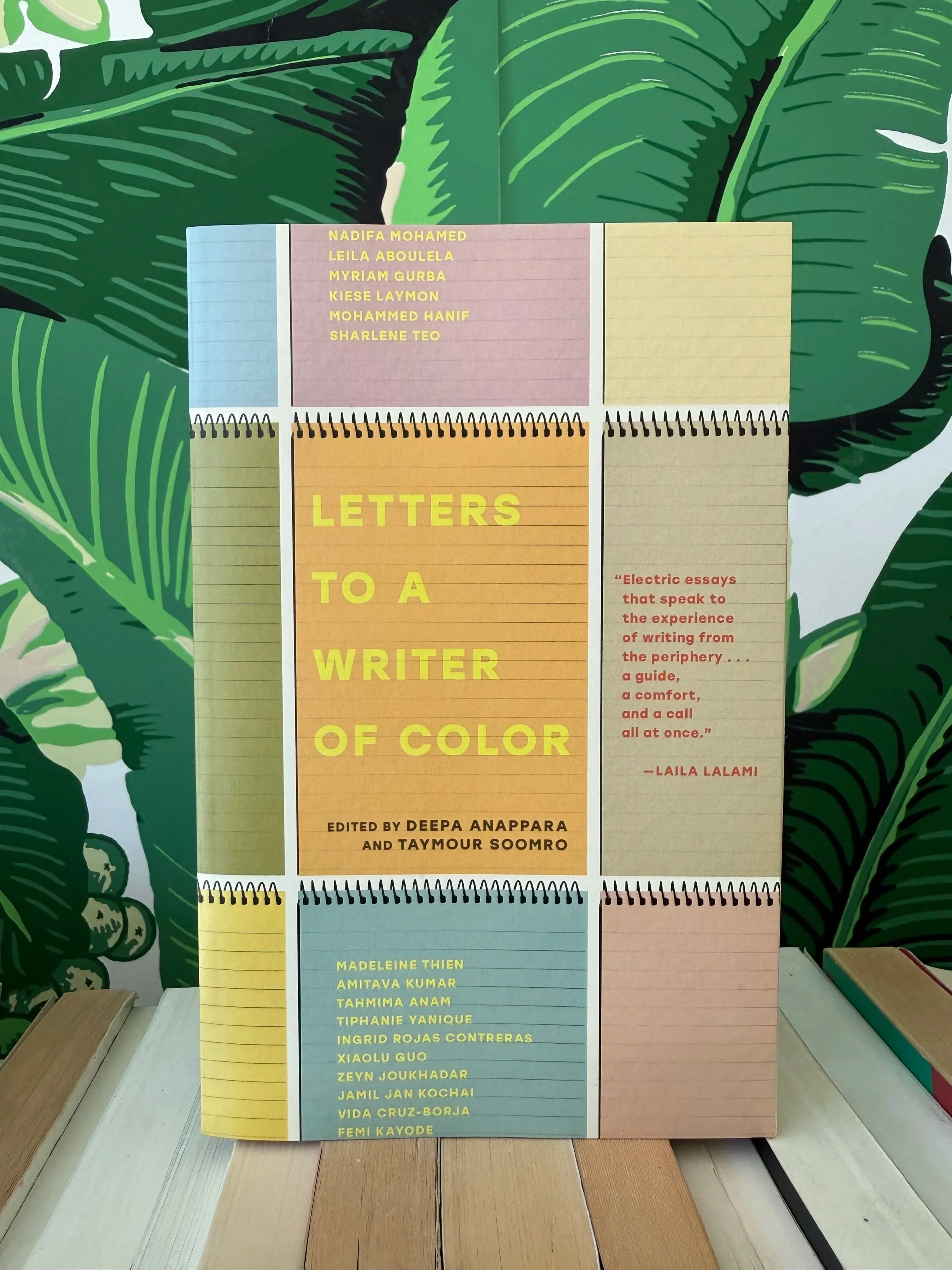 Letters to a Writer of Color - ed. Deepa Anappara + Taymour Soomro