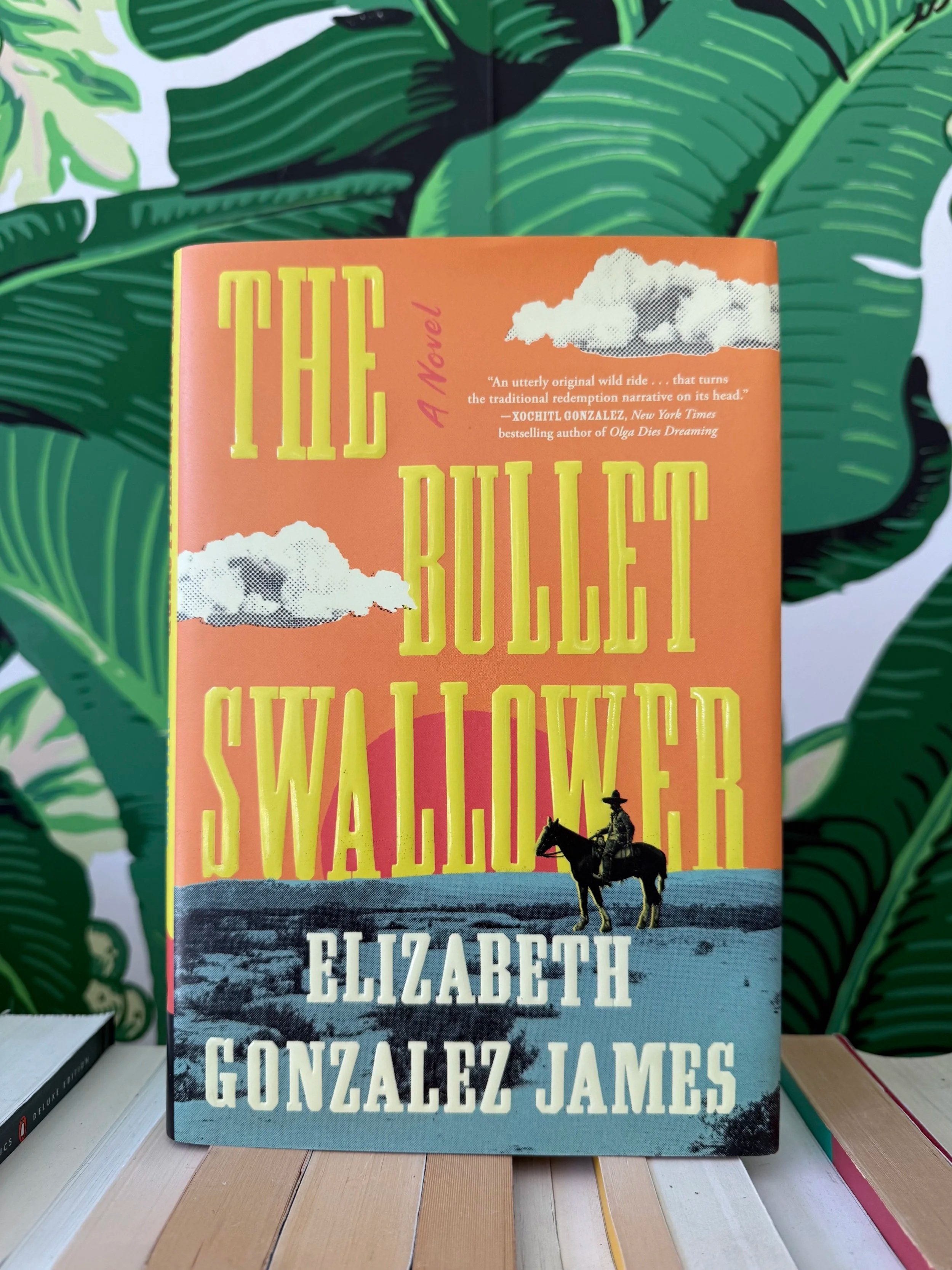 The Bullet Swallower -  Elizabeth Gonzalez James