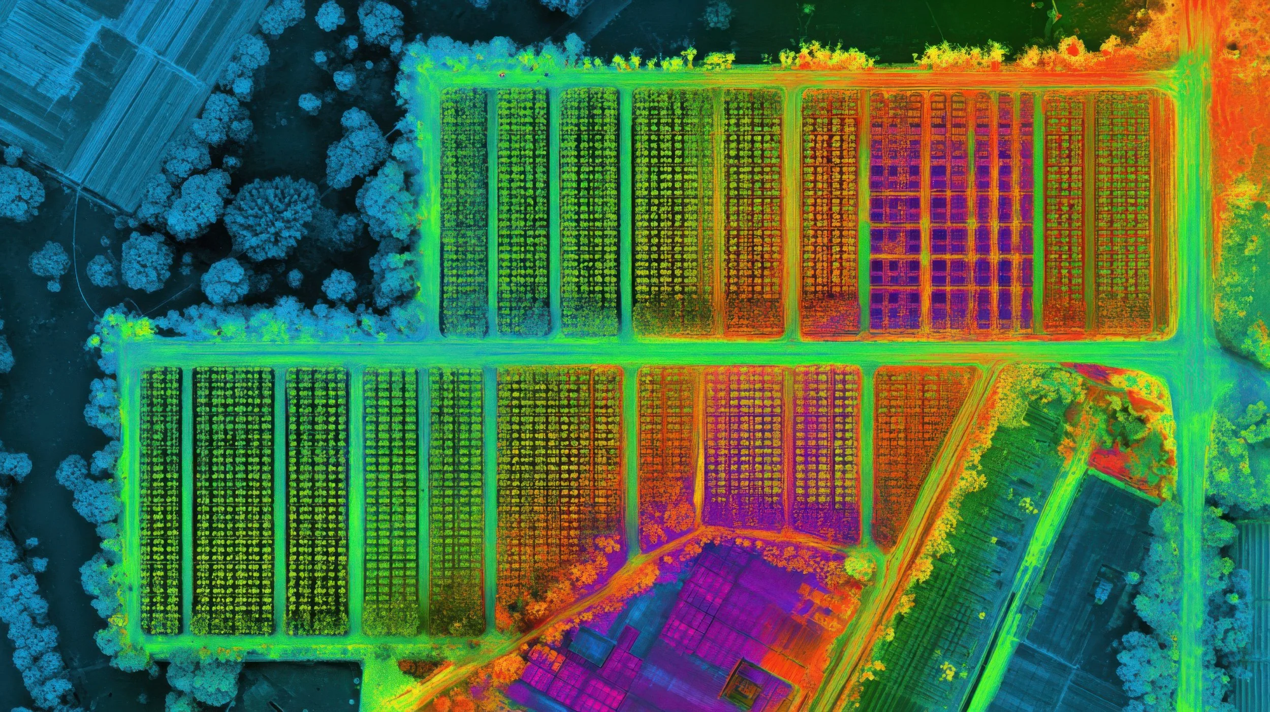 Thermal Imaging