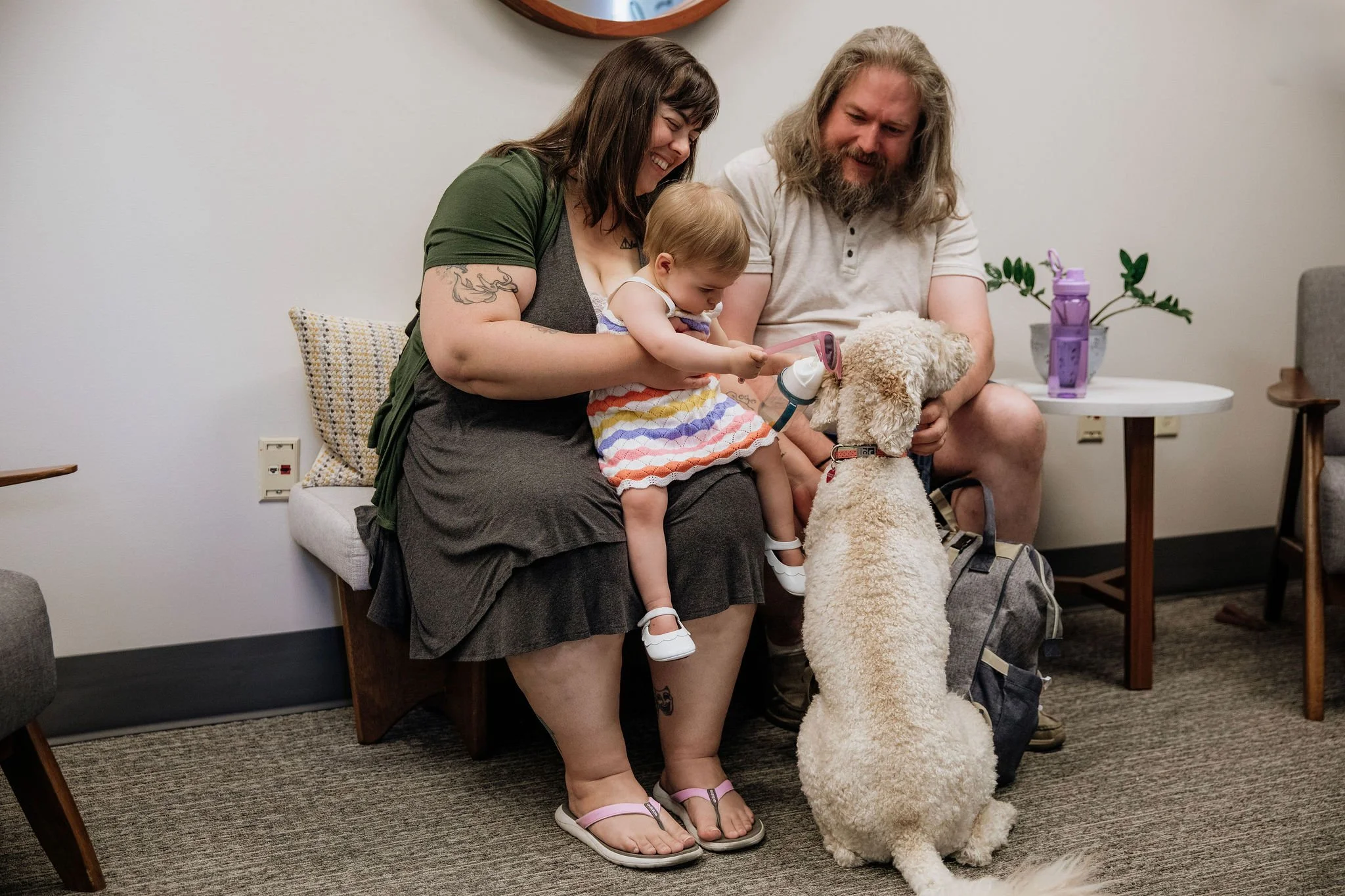 A young girl, sitting on a woman’s lap, is petting and looking at a large, fluffy, light-colored dog standing on the floor. A man with long hair and a beard is sitting next to them, petting the dog. They are all smiling and appear to be happy. There is a small round table with a purple water bottle and a potted plant behind them and a beige pillow on a bench.