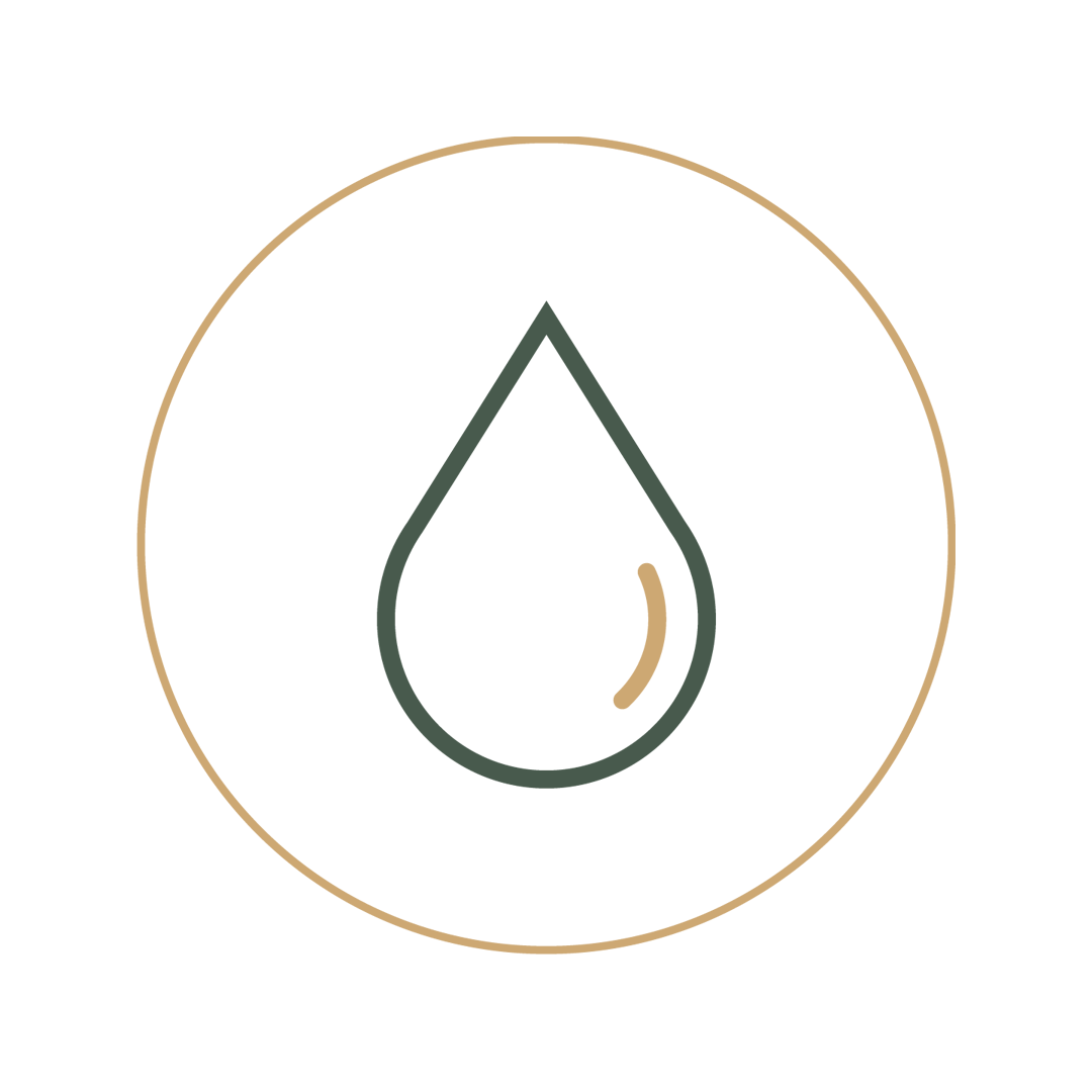 Regenerative Skin Treatments