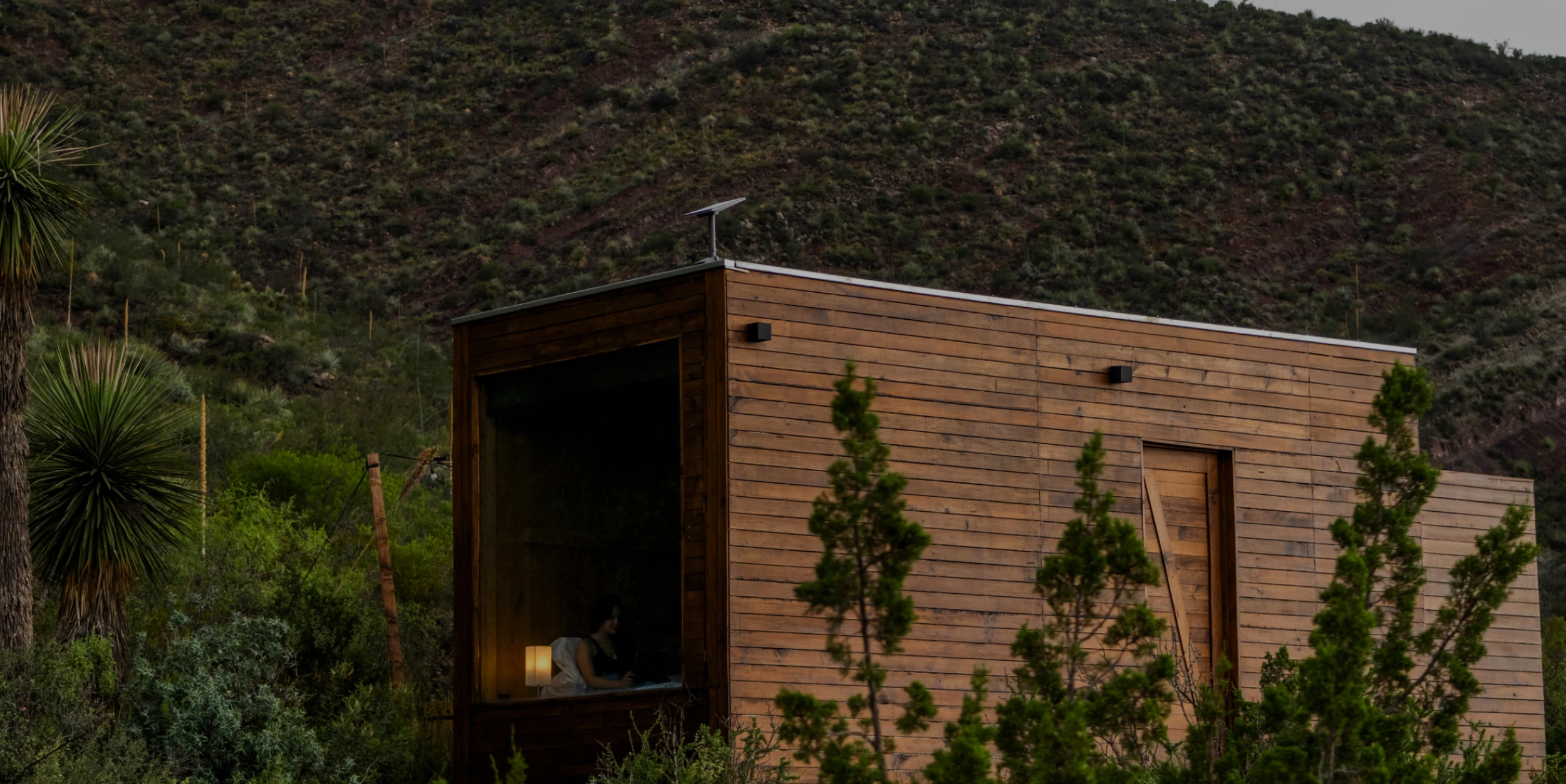 A modern wooden house surrounded by green plants and trees, with a mountain in the background, and a person sitting inside near a window.