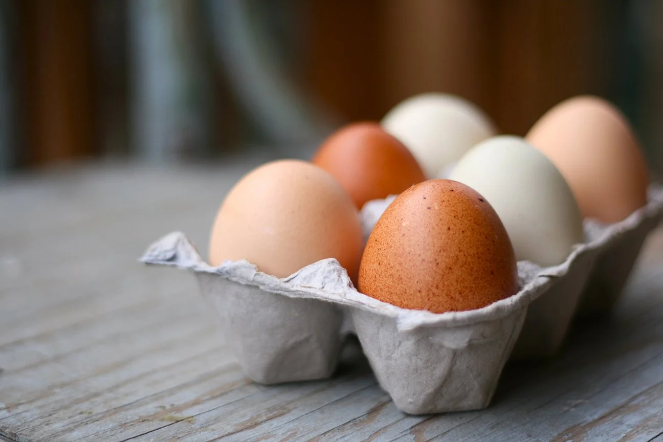 Farm Fresh Eggs