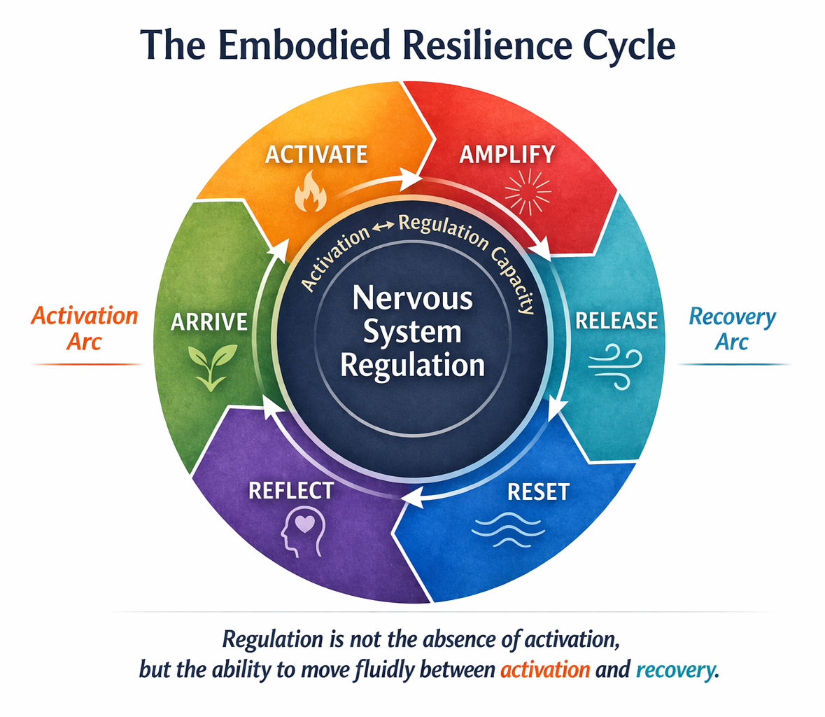 Embodied Resilience Cycle