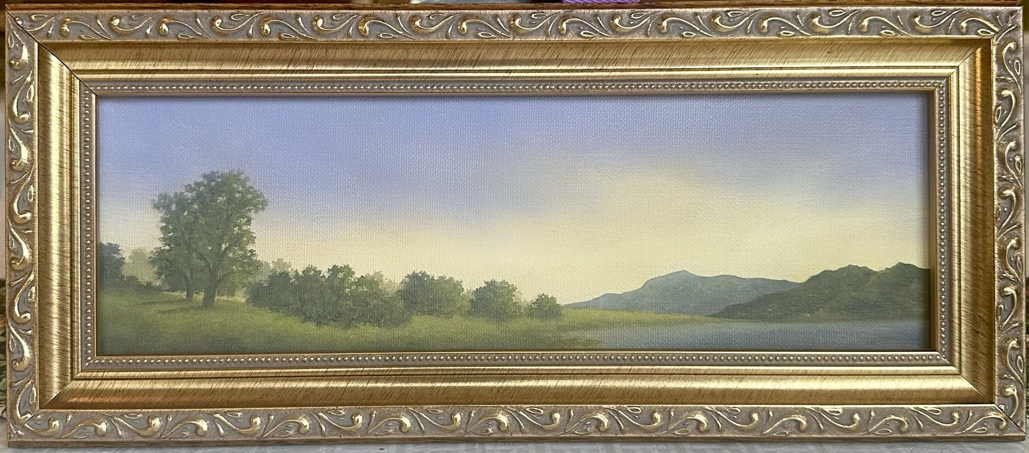 The Morning Light