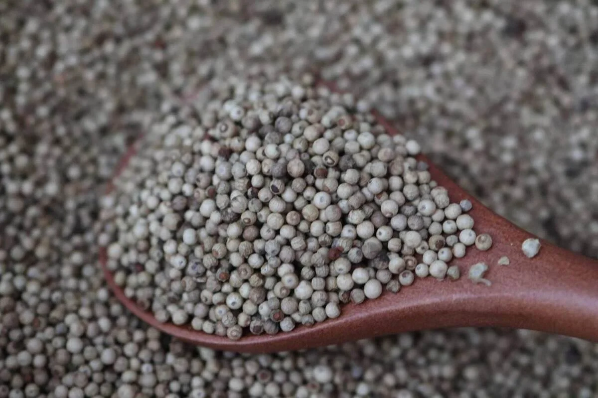poivre-blanc-grains-cuillere.jpg