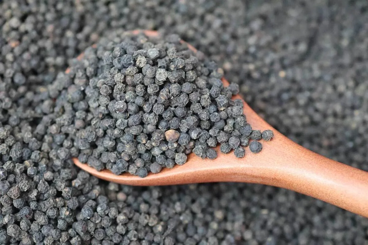 poivre-noir-grains-cuillere.jpg