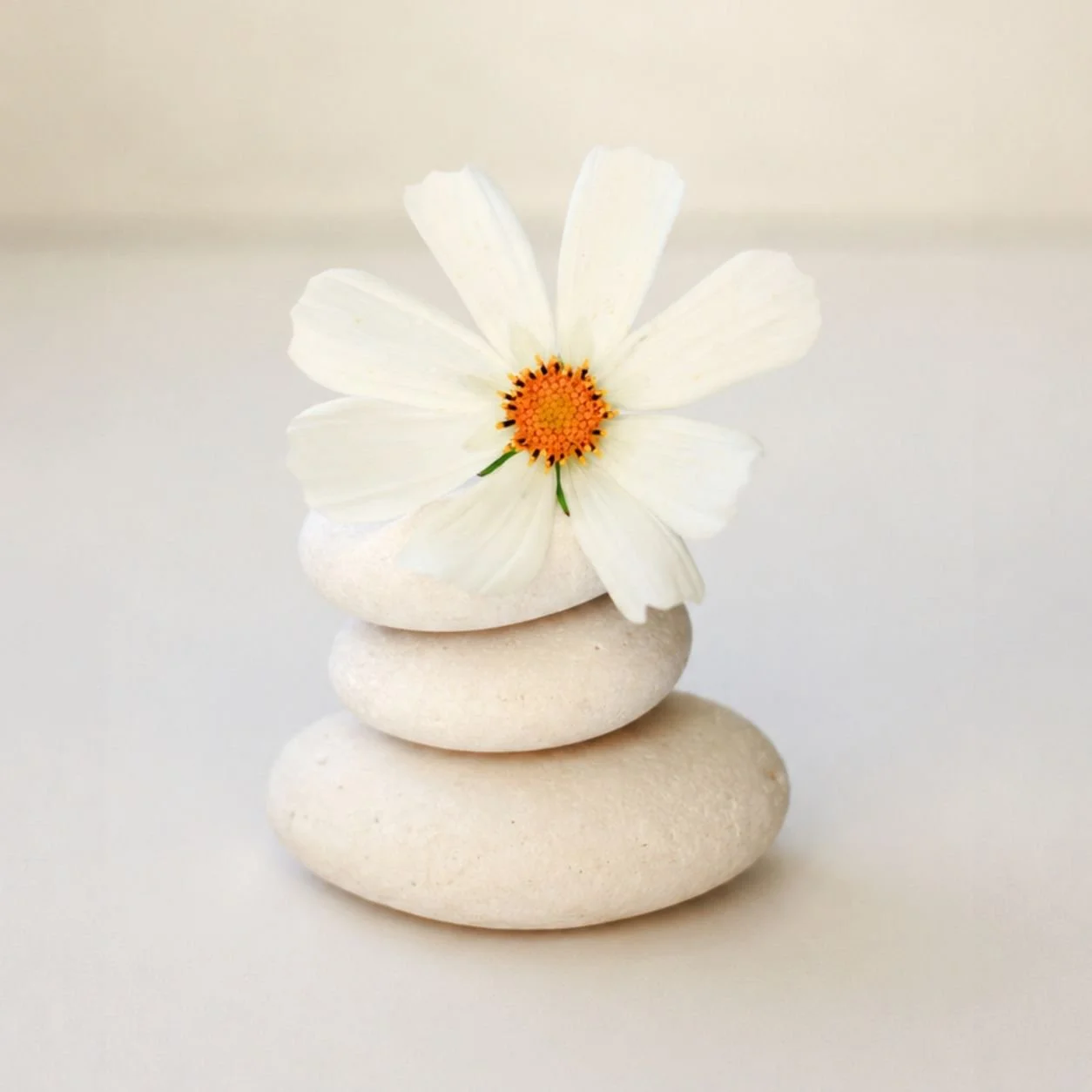 Stacked white stones with a white flower with an orange center on top, minimalistic and calming aesthetic