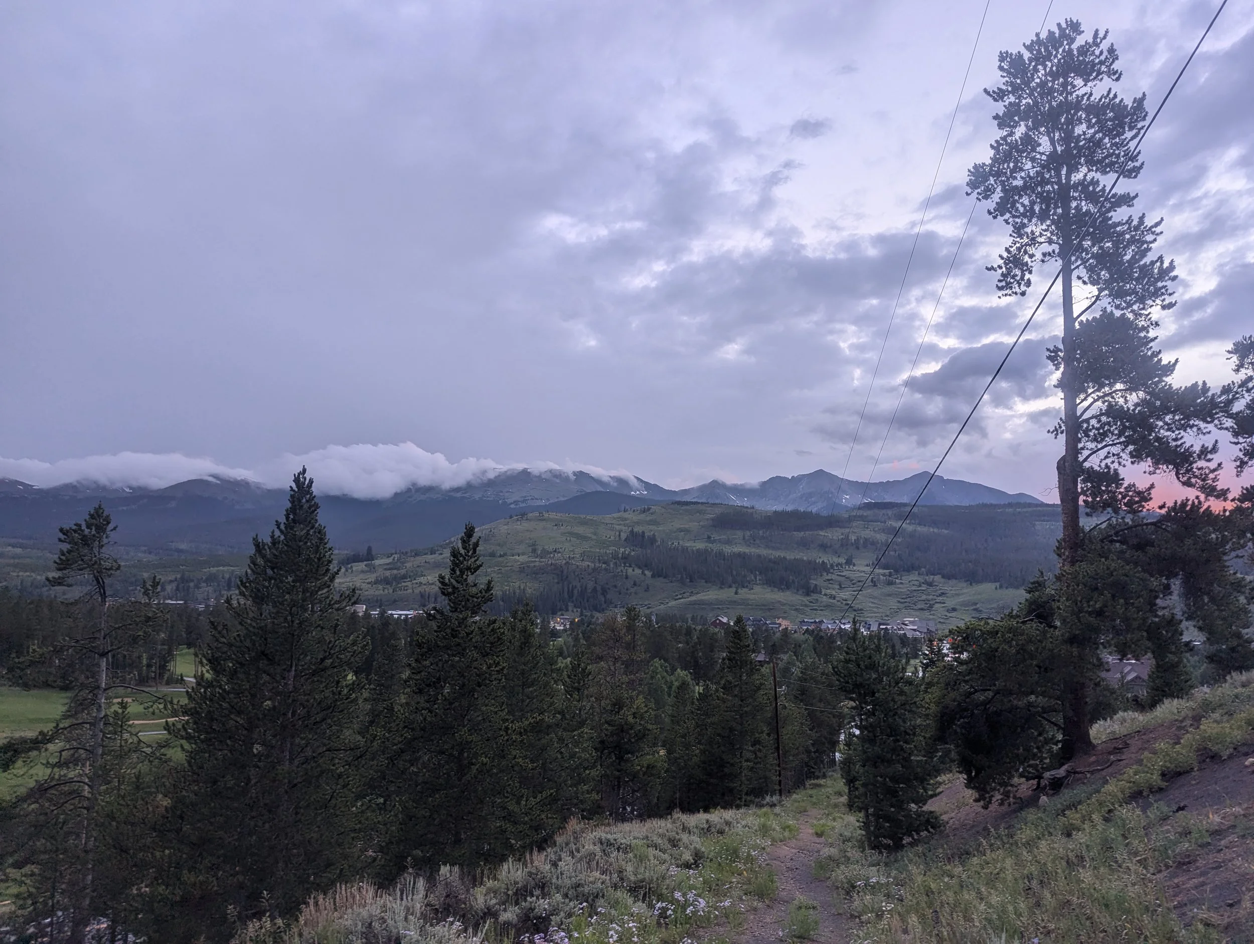 Mountain landscape with pine trees in the foreground, rolling hills, and snow-capped mountains in the distance under a cloudy sky.