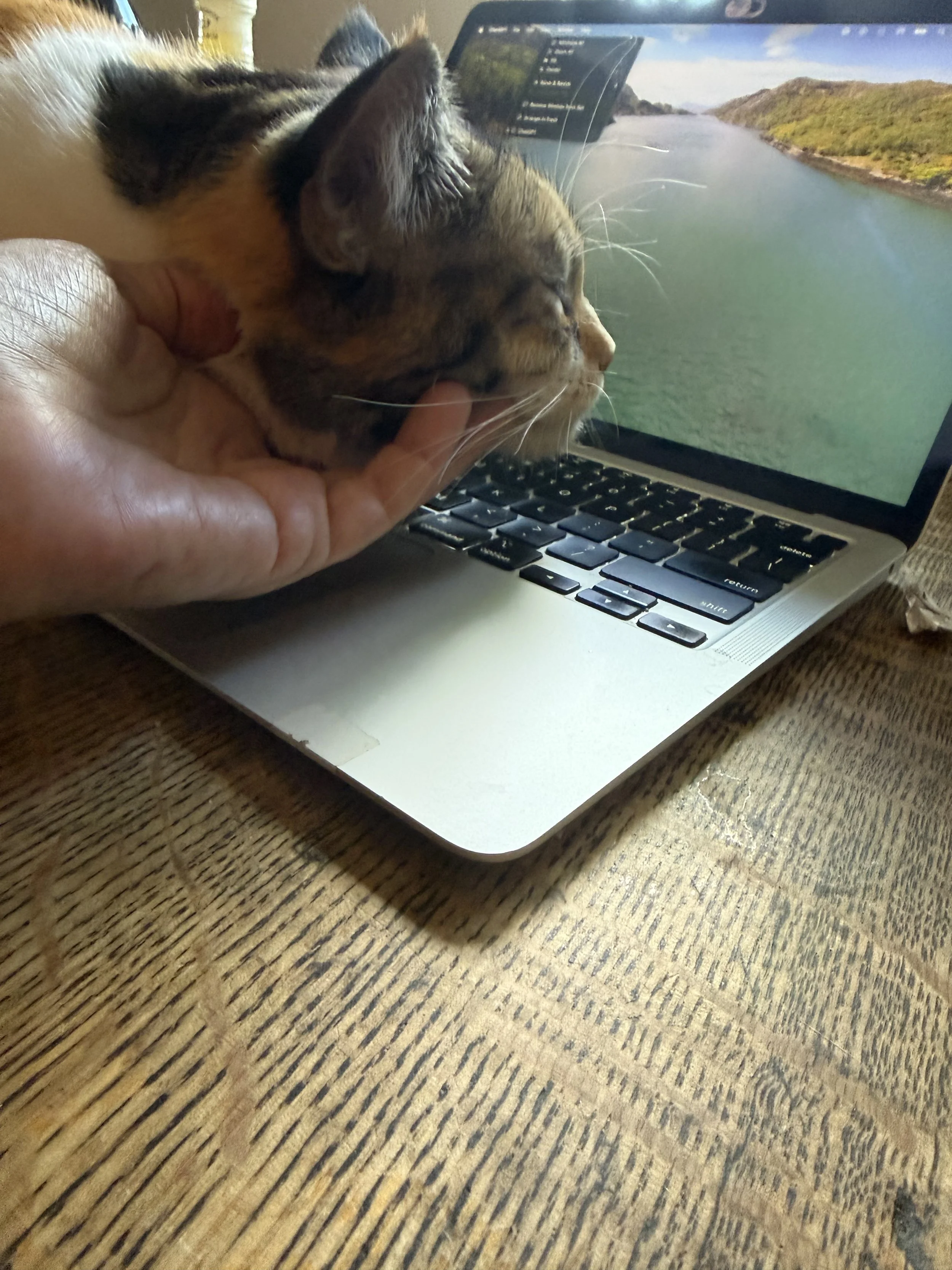 When Grace Lands on My Keyboard