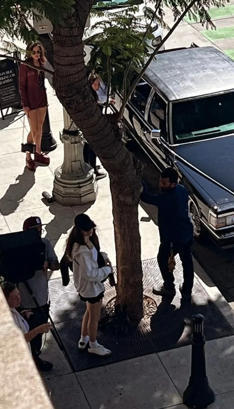 People standing around a tree on a city sidewalk, with some looking at a black car parked next to the tree.