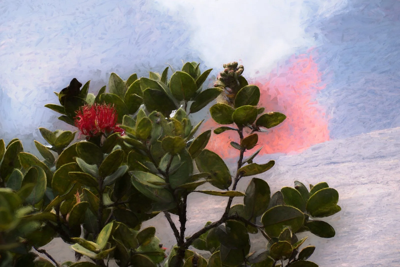 Ohia, Lehua, and Pele.jpg
