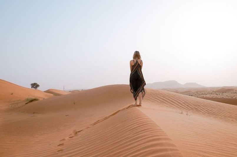 to wander the desert.PNG