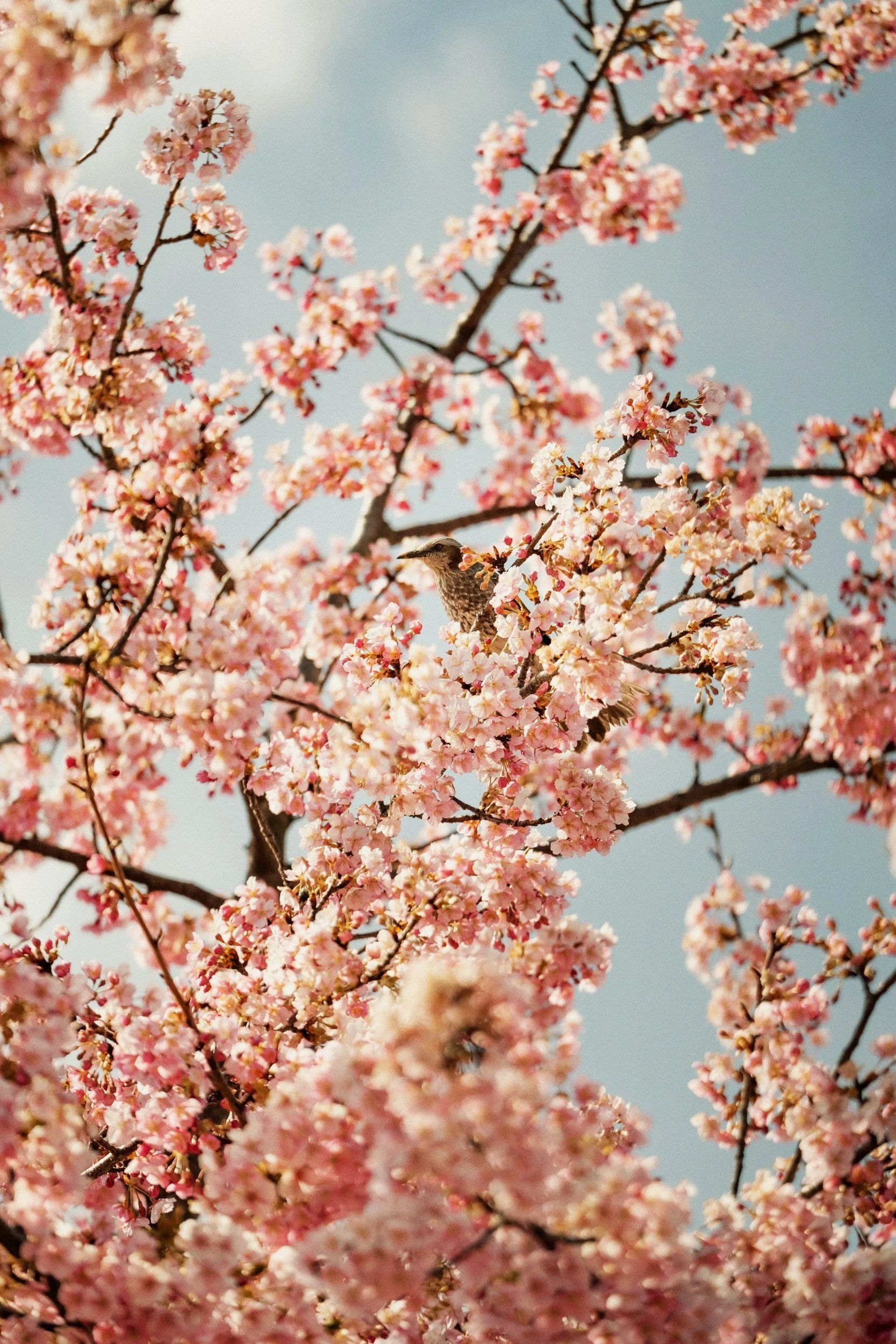 unsplash-image-G47Mr6j6x9w.jpg