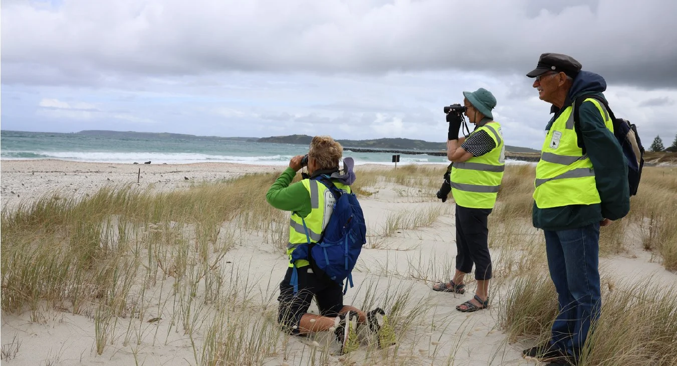 Three people in high-visibility vests observe a beach and ocean from a grassy sand dune under cloudy skies.