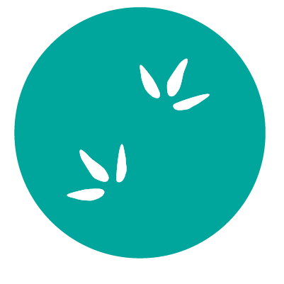 White bird footprints on a teal circular background