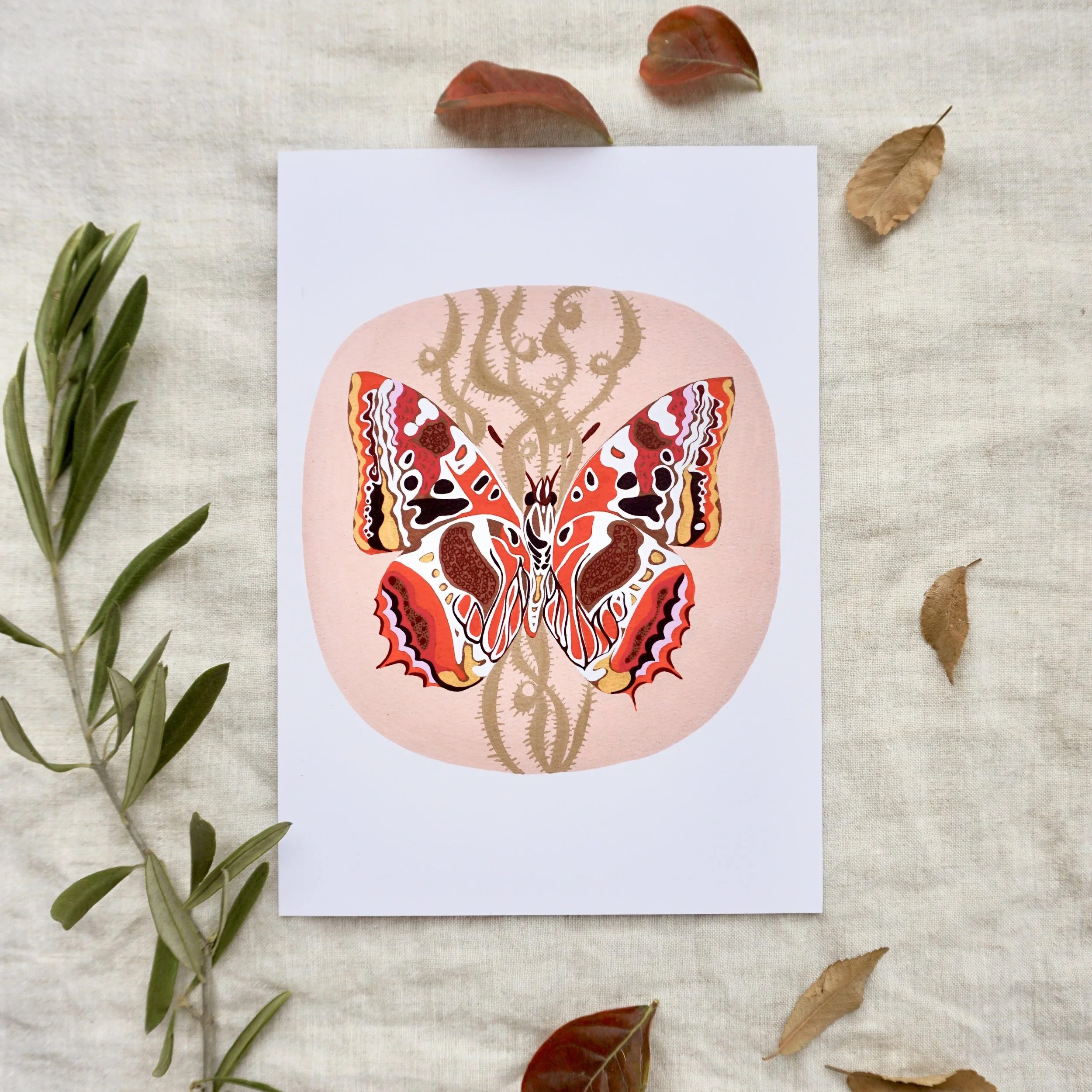 Butterfly 004 Art Print