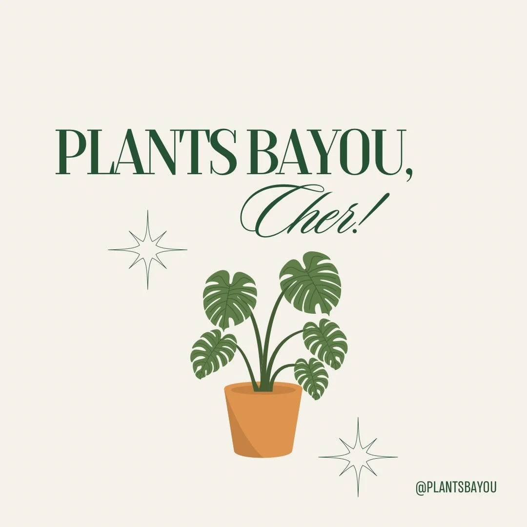 A graphic with the text 'Plants Bayou, Cher!', a potted plant with large green leaves, and decorative star-like accents.