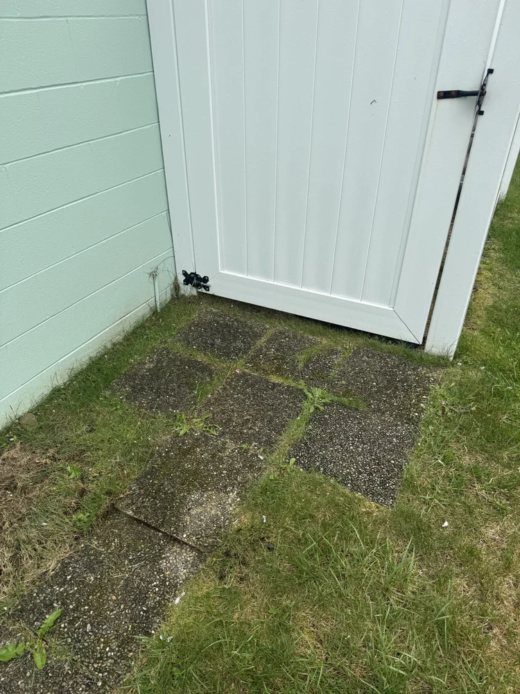 Before: side yard walkway covered in weeds
