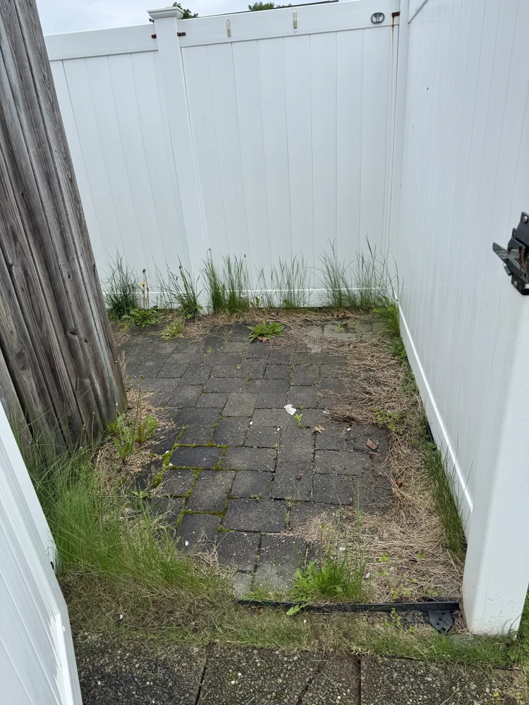Before: patio corner overgrown with weeds
