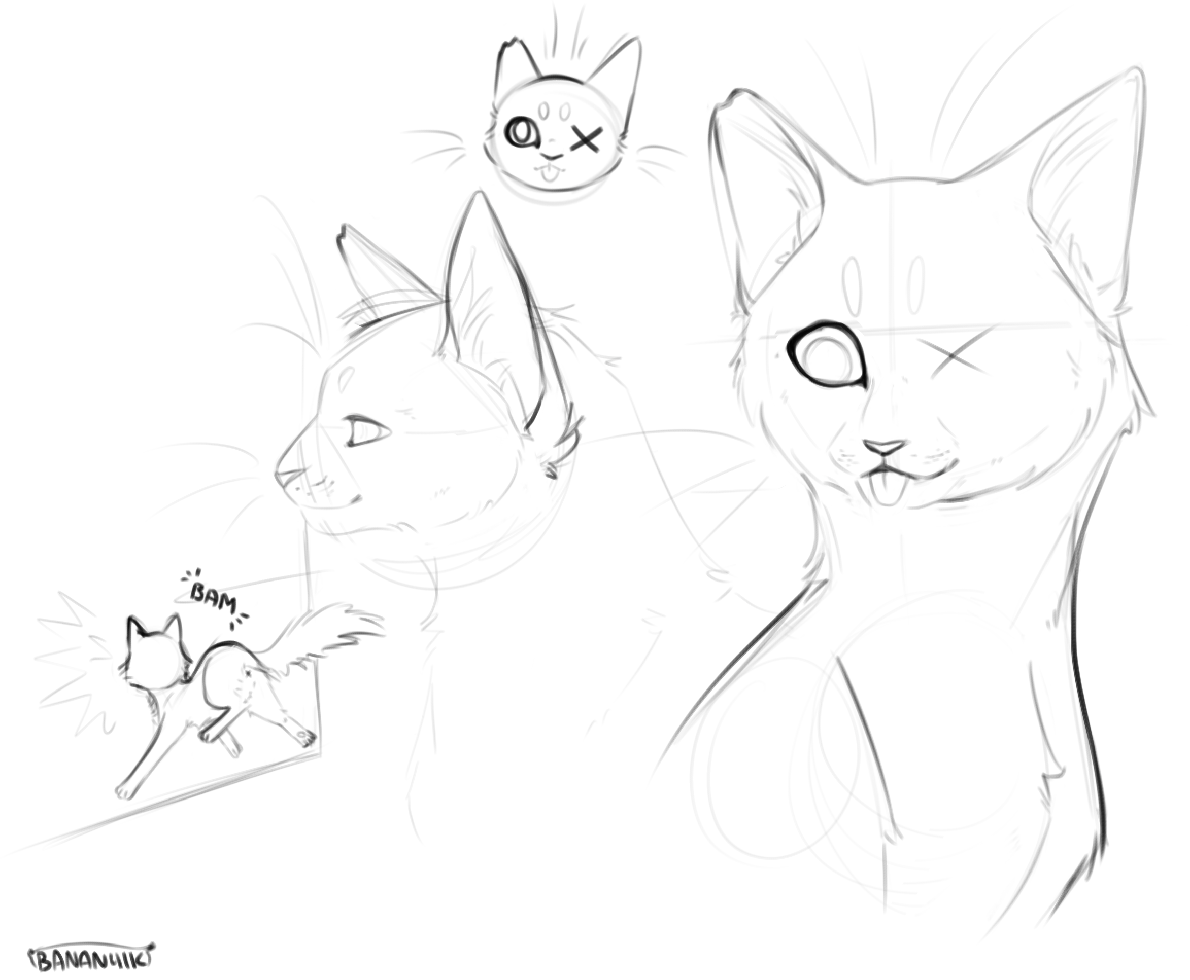 Stylised Feline Exploration