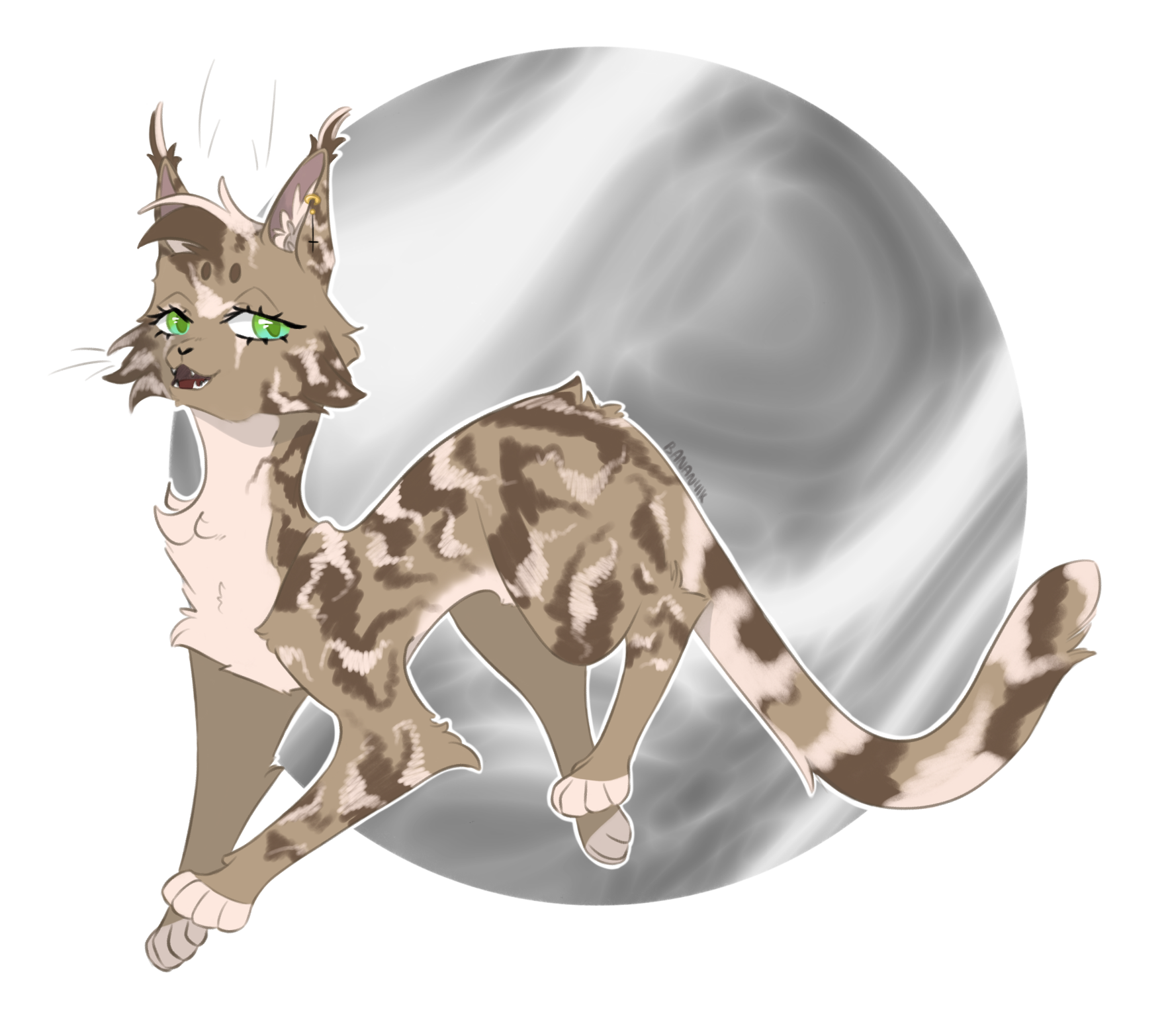 Untitled_Artwork 14.png