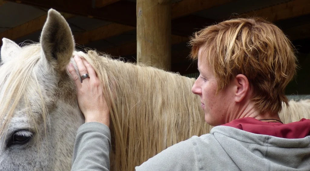 Britta is also a bodyworker for horses using connection and gentle approaches to enable release and relaxation.