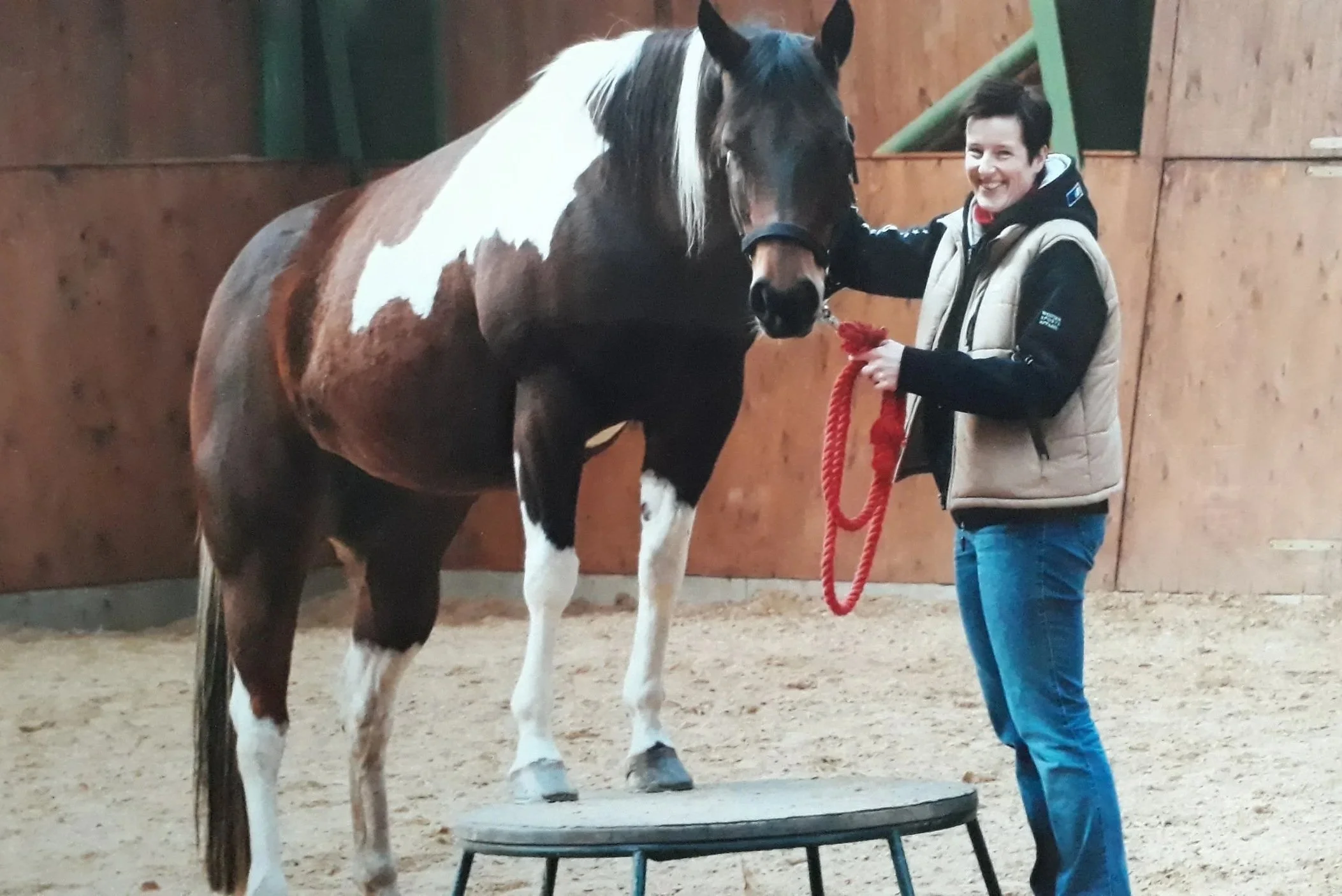 Calm and connected with your horse, enjoying the time together.