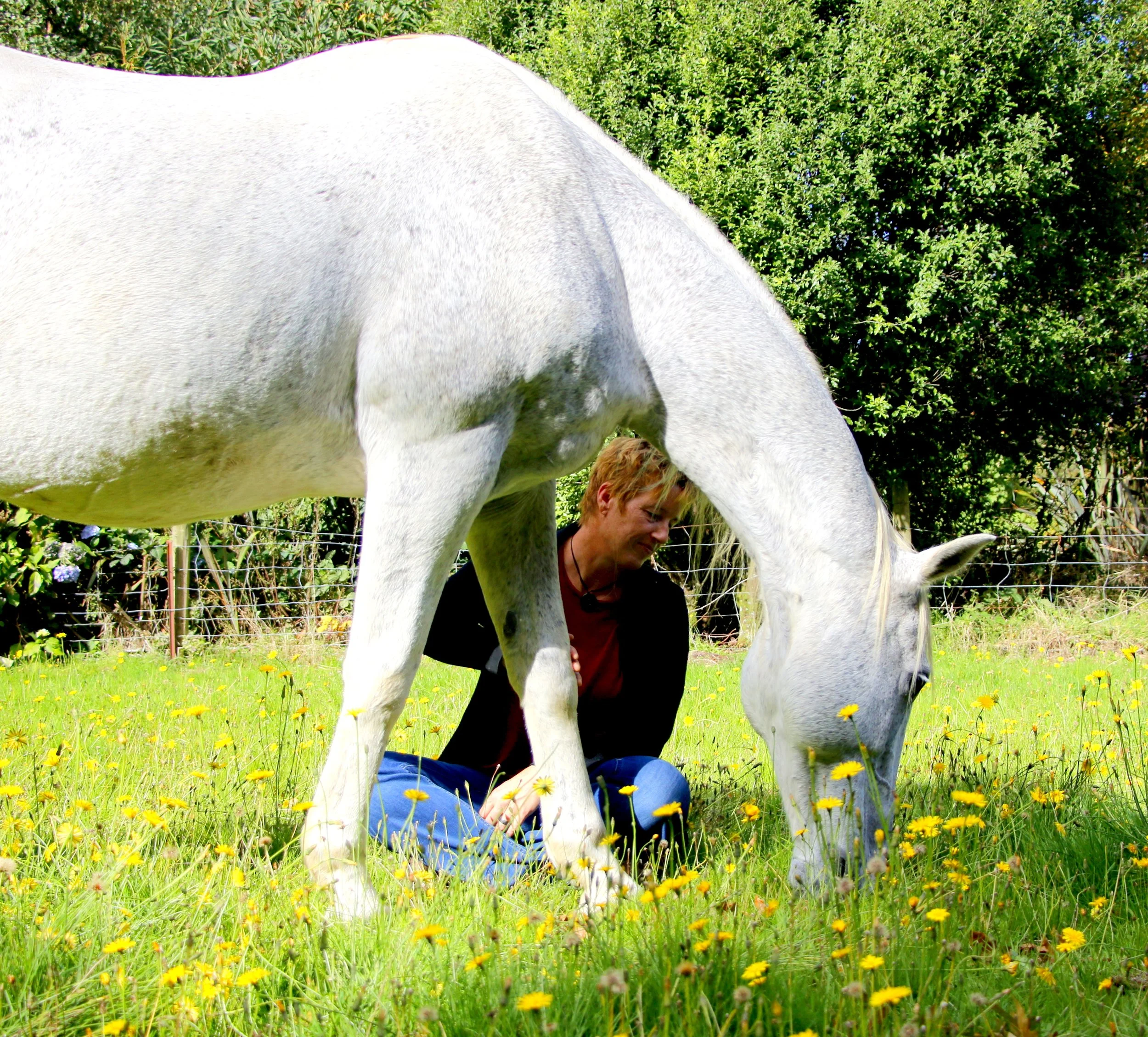 A calm mind creates true connection with a horse in the present moment. Rebalance your mind and body and connect with your horse.