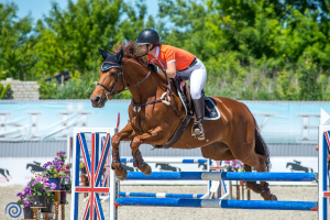 showjumping audio.png