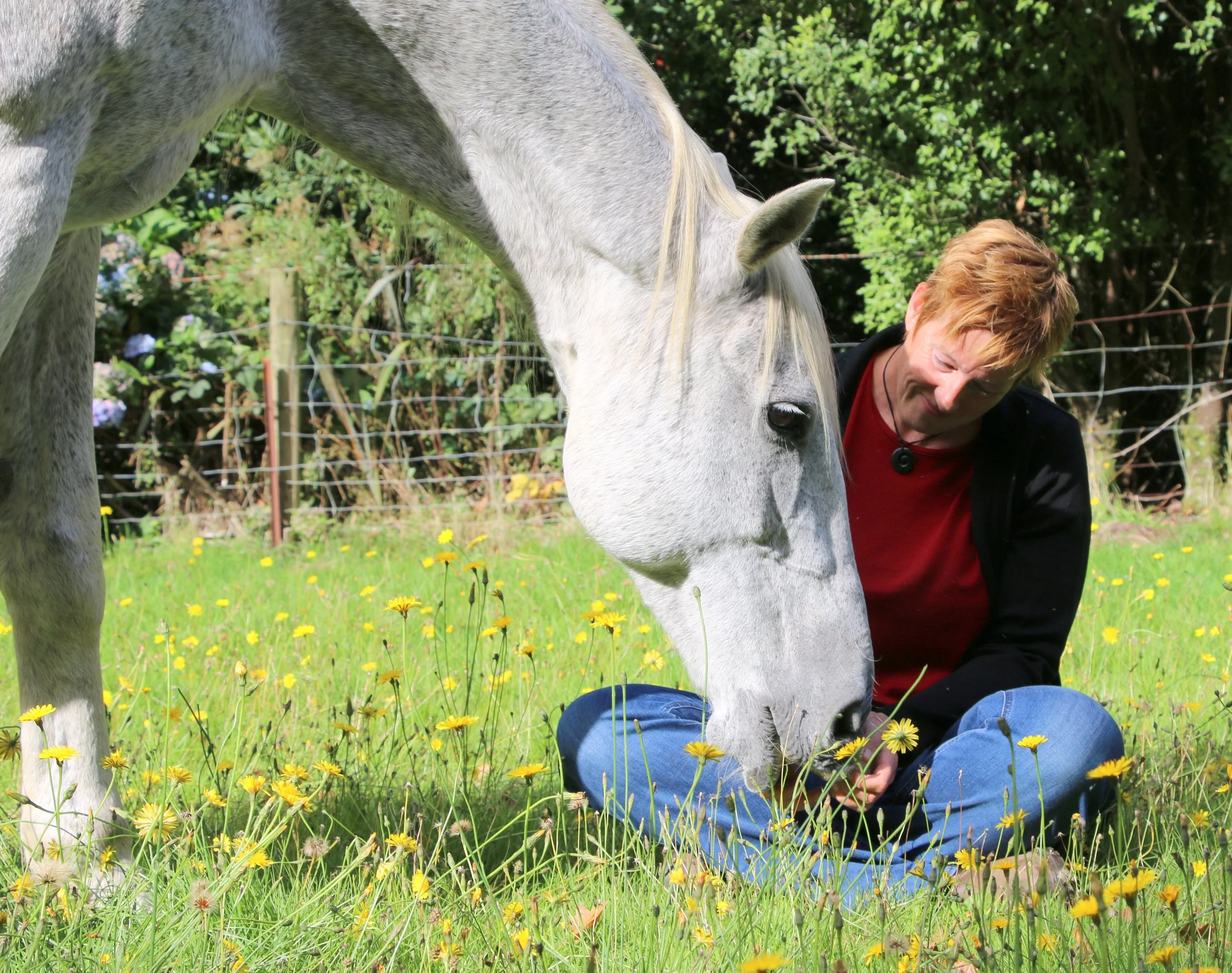 If you are calm and focused, your horse will follow you.