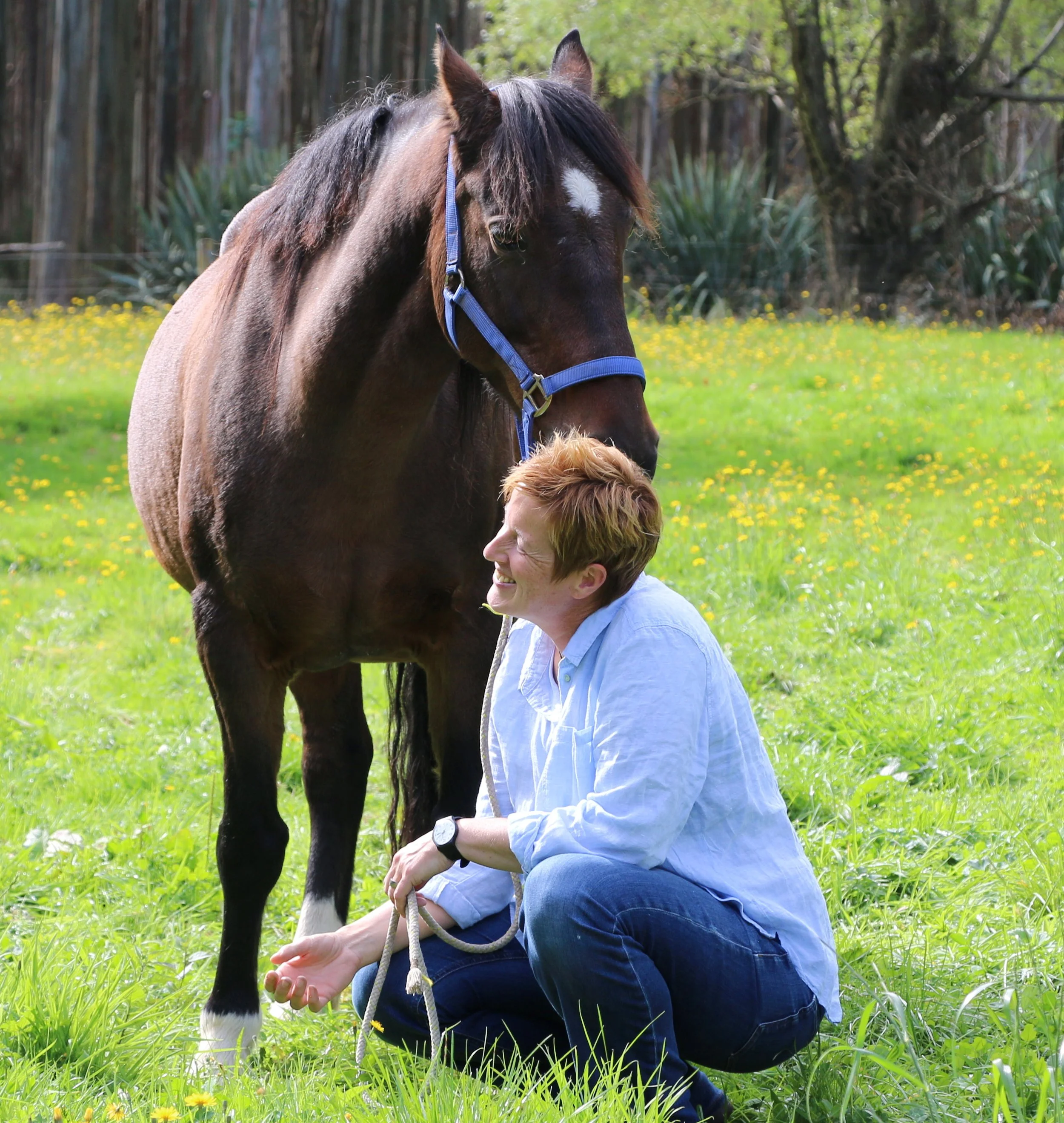 Being relaxed and calm with a horse creates trust and connection.