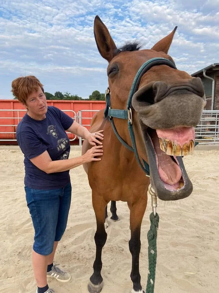 Britta helping a horse release tension through her calm bodywork approach.