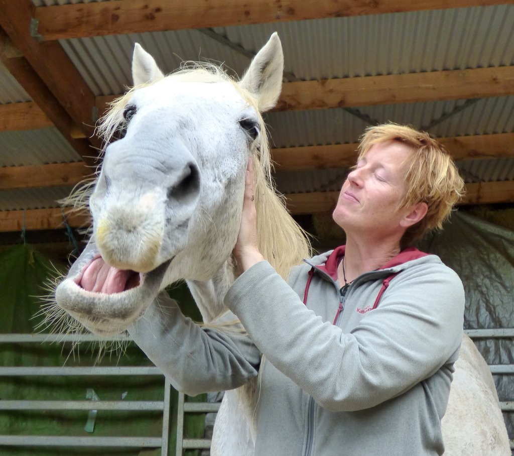 Britta is calm and present when helping horses release tension through bodywork.