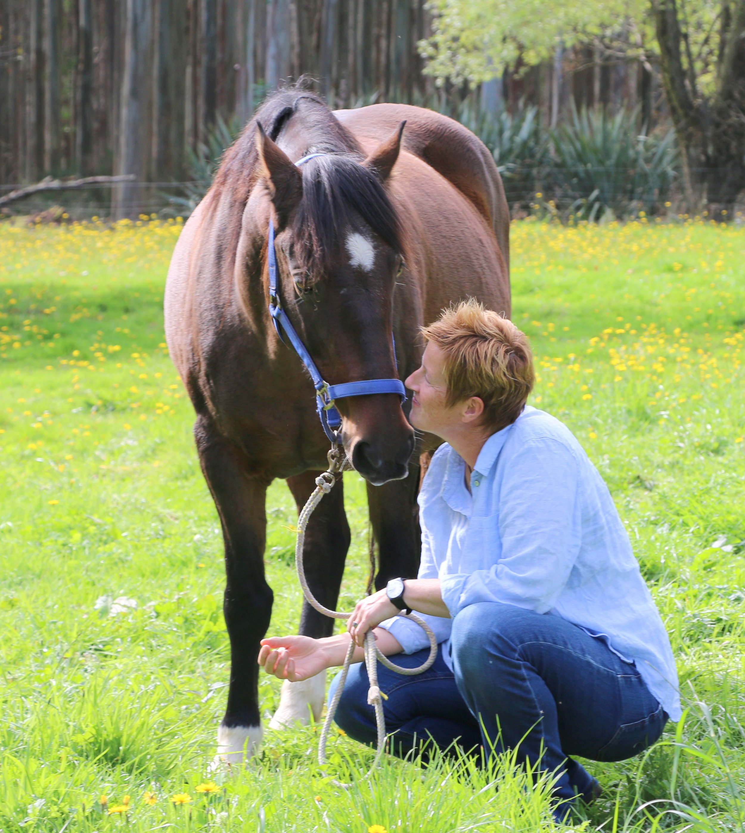 A calm and present rider creates a calm and trrusting horse.