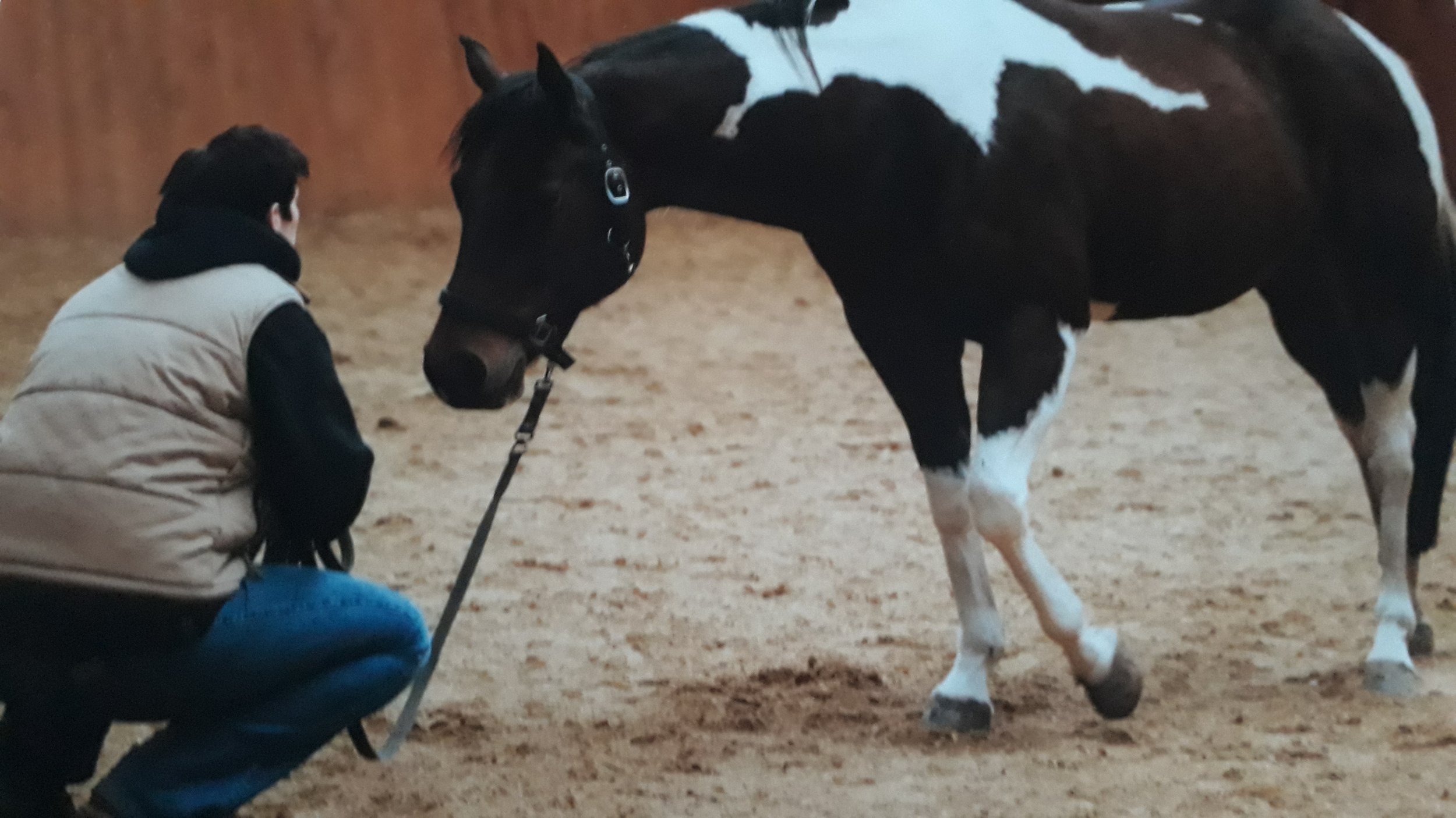 Britta and her horse in a groundwork clinic