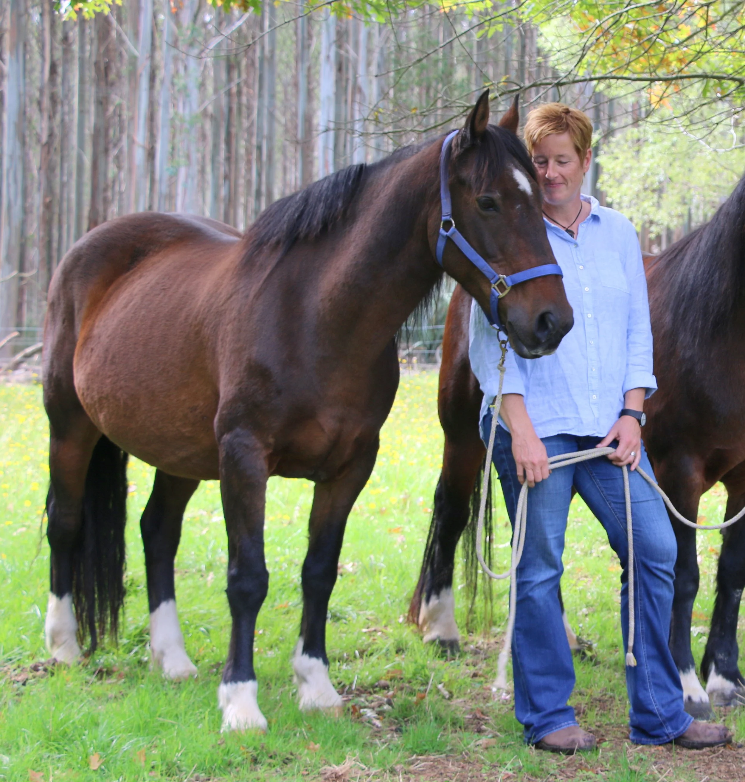 Trust in your horse and yourself by staying calm, confident and connected.