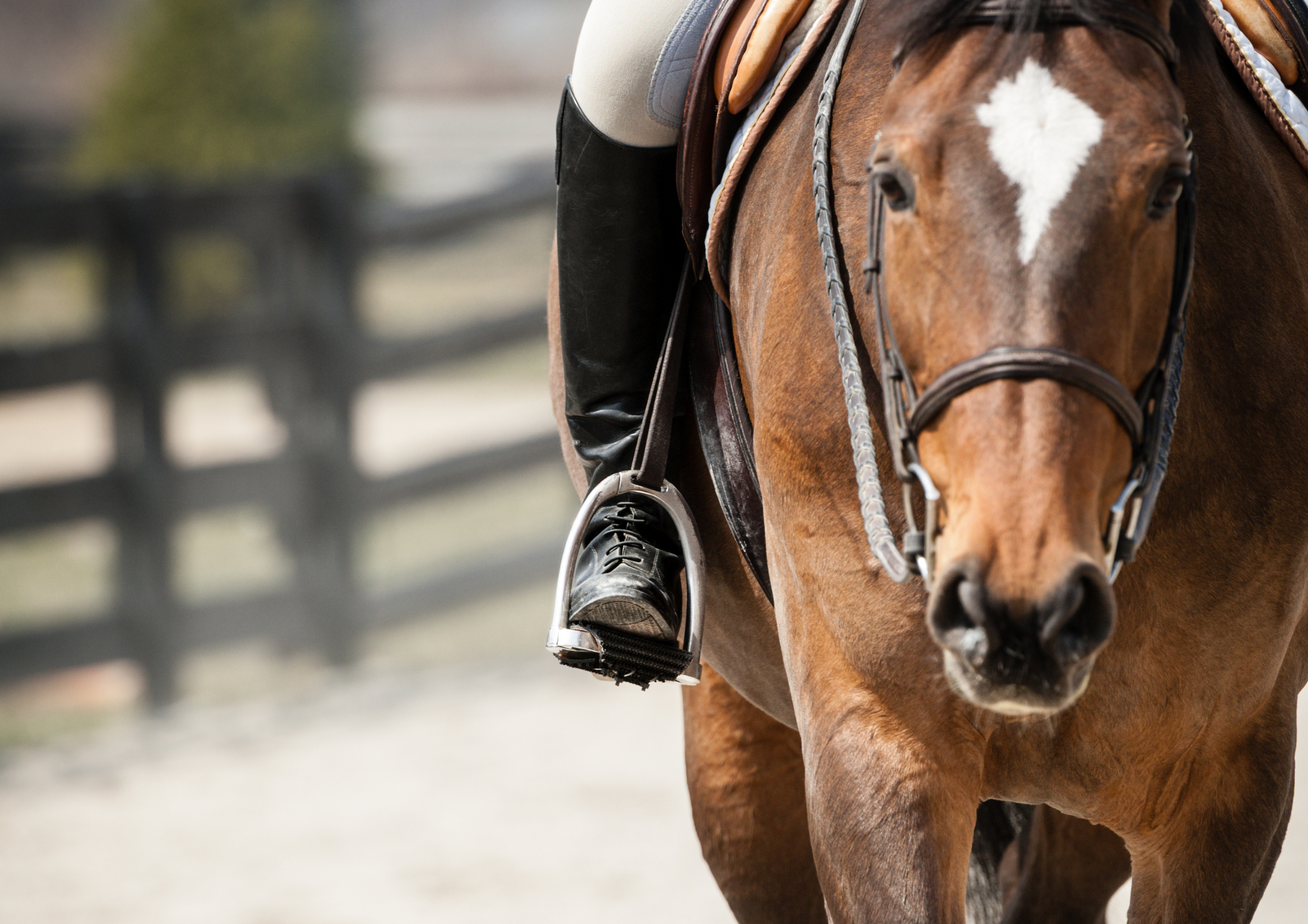 Confidence boost for riders