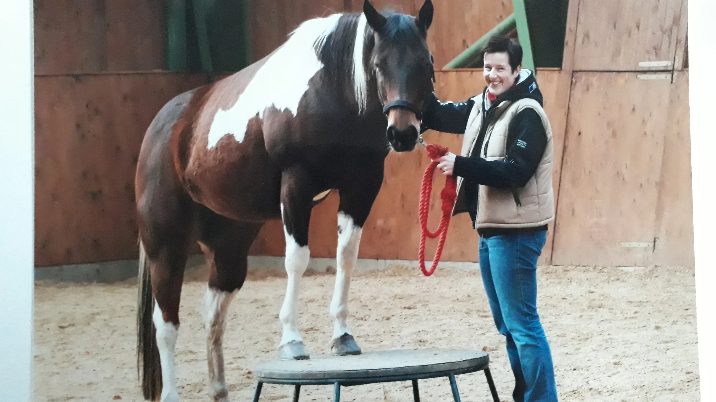 Britta and her horse Sunny doing a Circus course