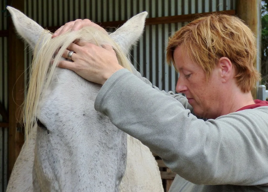 Britta using gentle touch on the poll and forehead helping the horse deeply relax.
