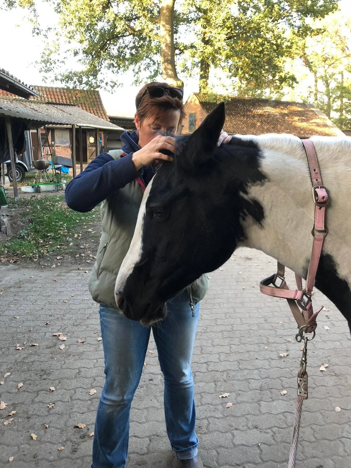 As abodyworker for horses Britta understands both worlds, the riders and the horses.