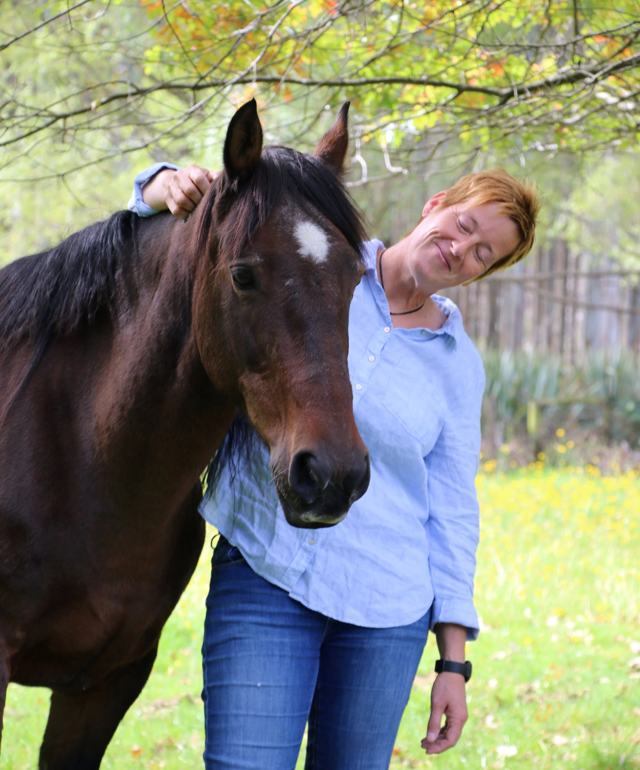 Connecting with your horse in the paddock together is a trust building activity.