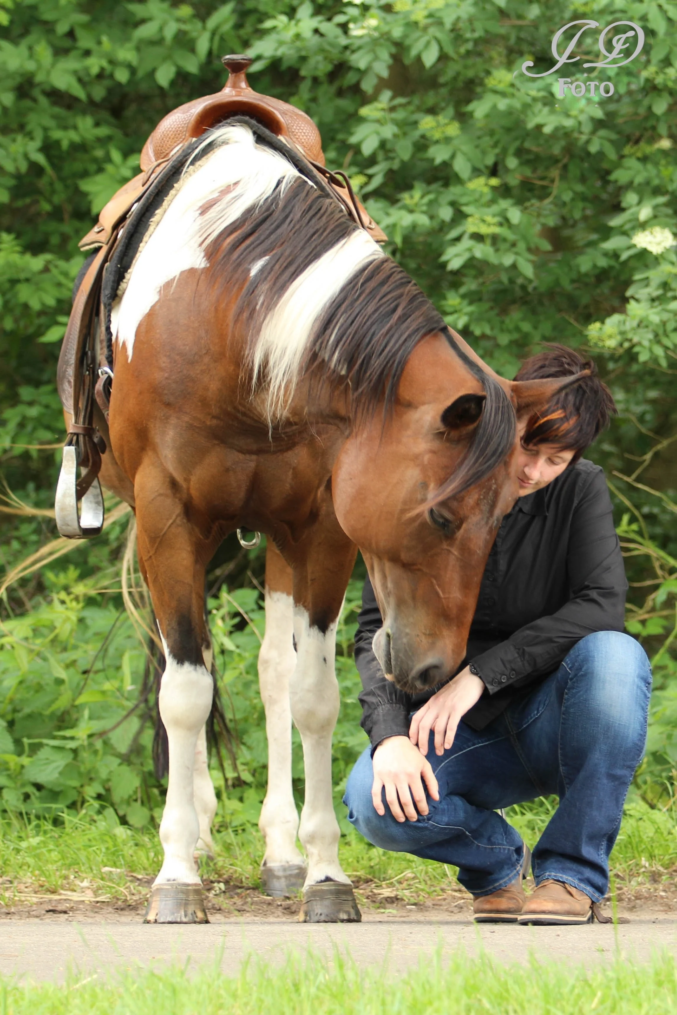 Connection and trust with a horse for confident riding.