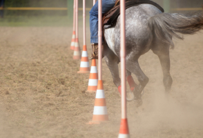 working equitation audio.png